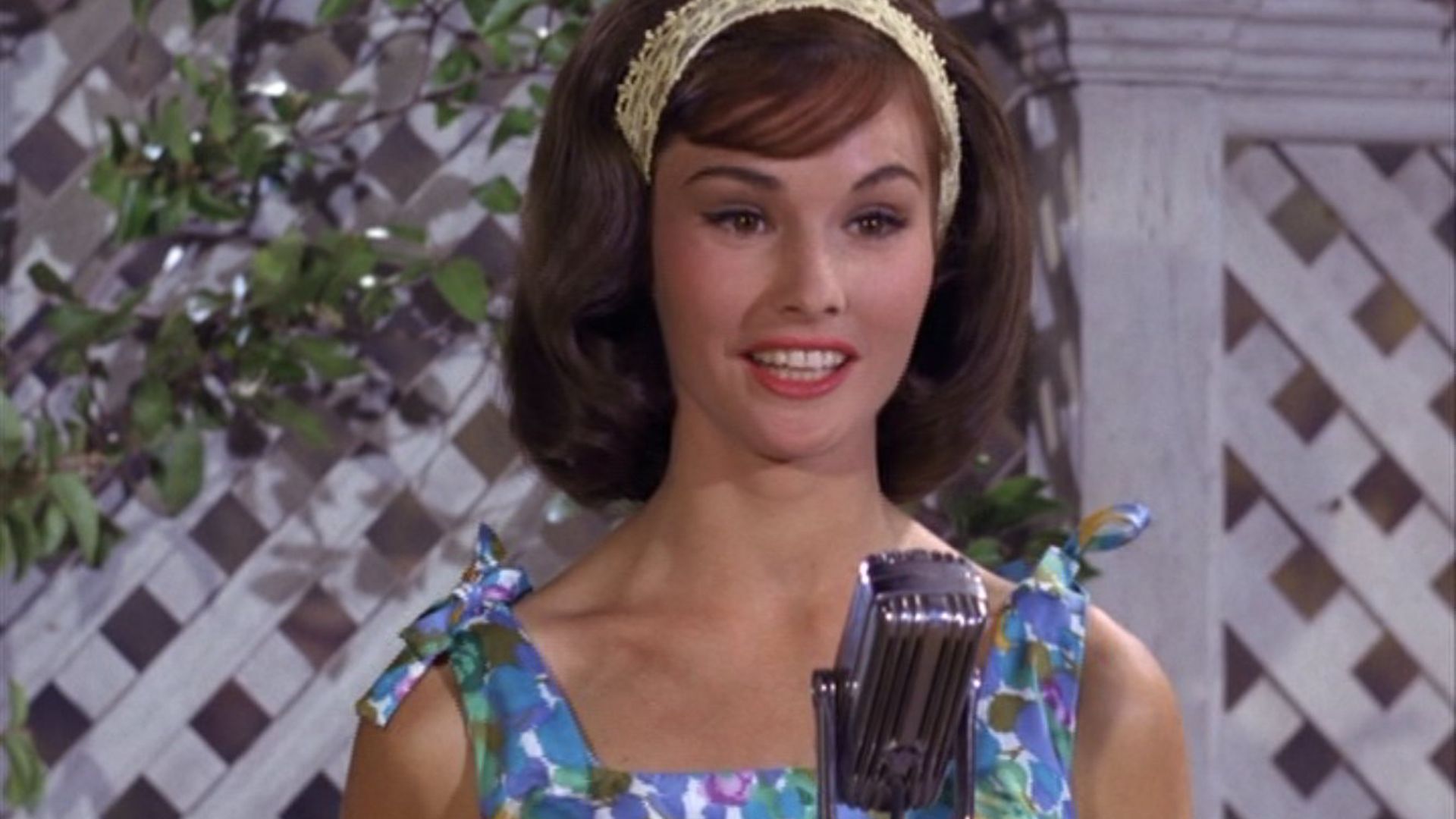 Petticoat Junction background