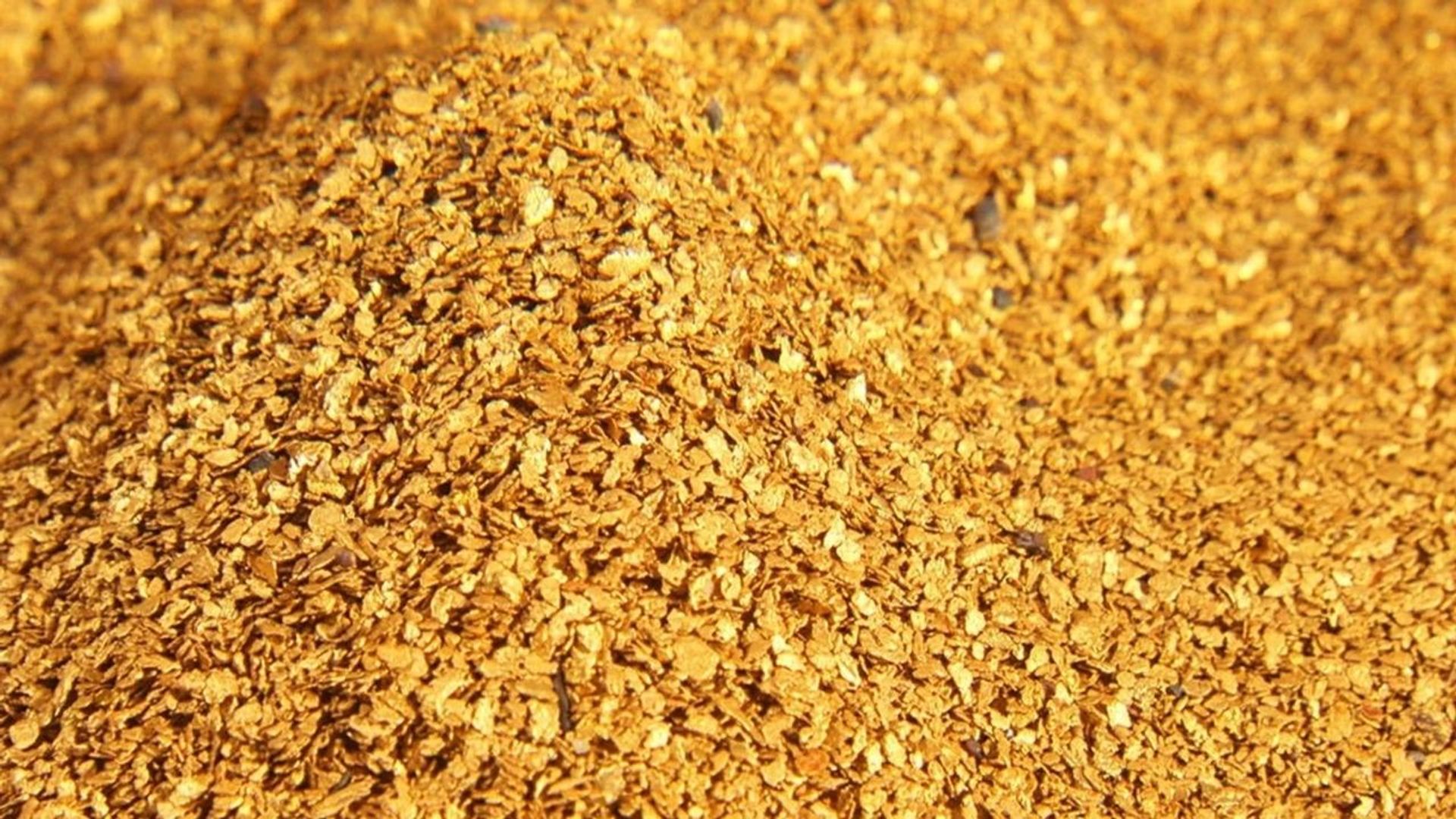 Yukon Gold background
