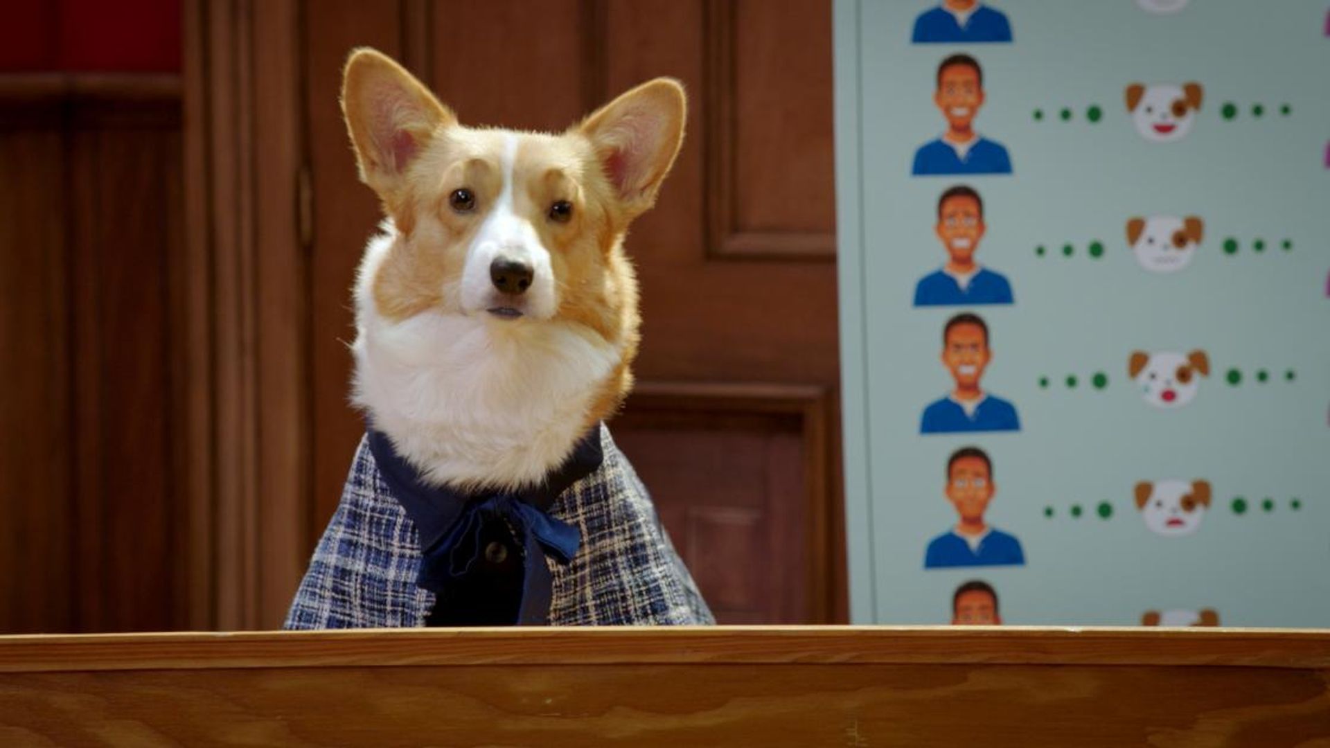 Pup Academy background