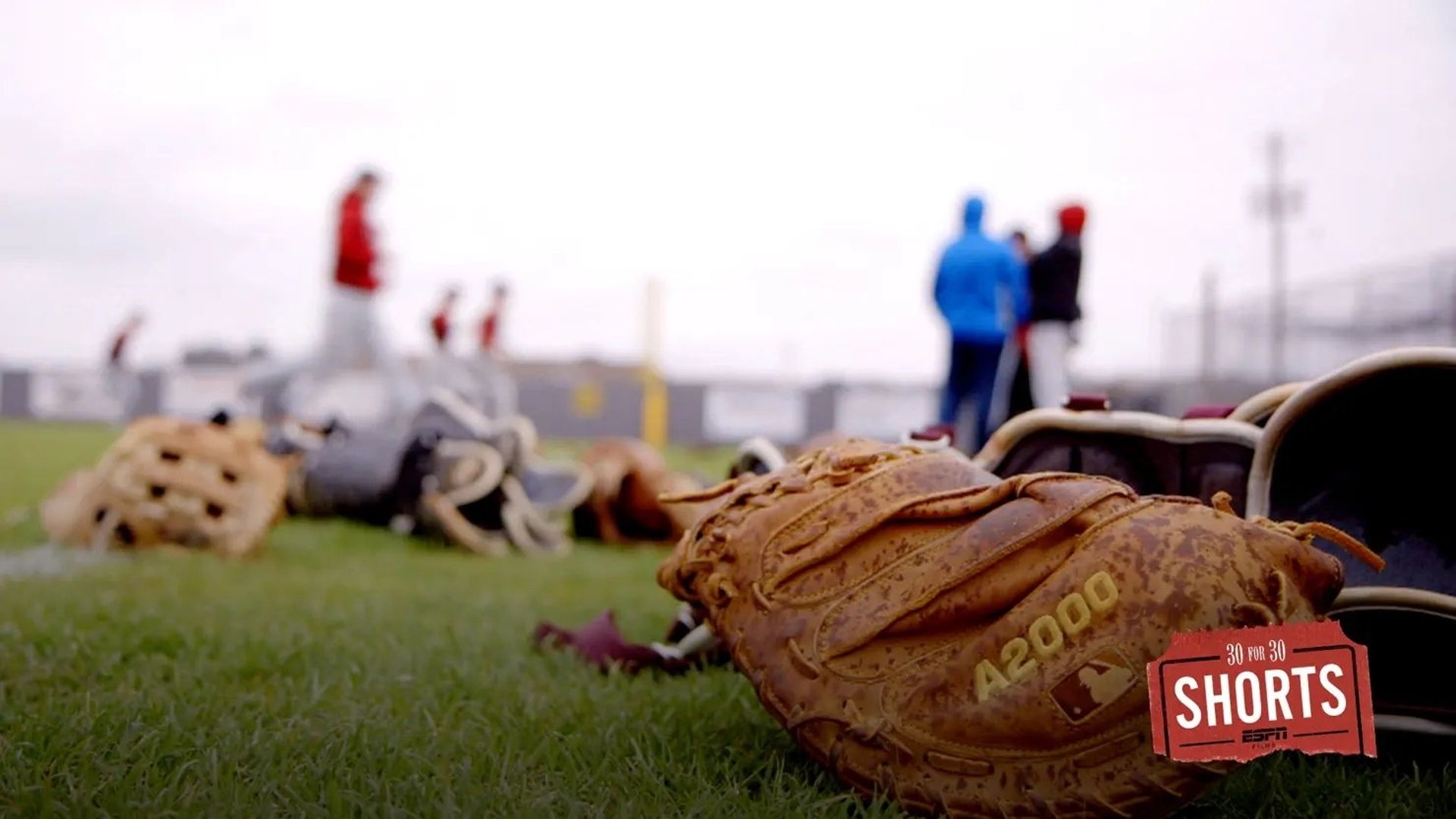 30 for 30 Shorts background