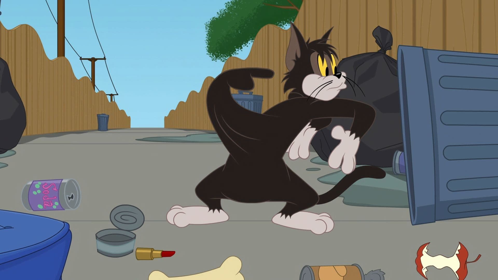 The Tom and Jerry Show background