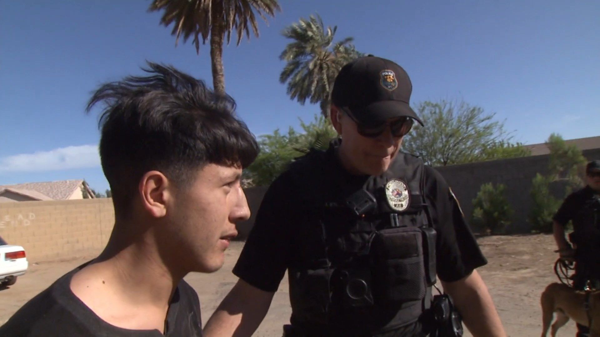 Cops background
