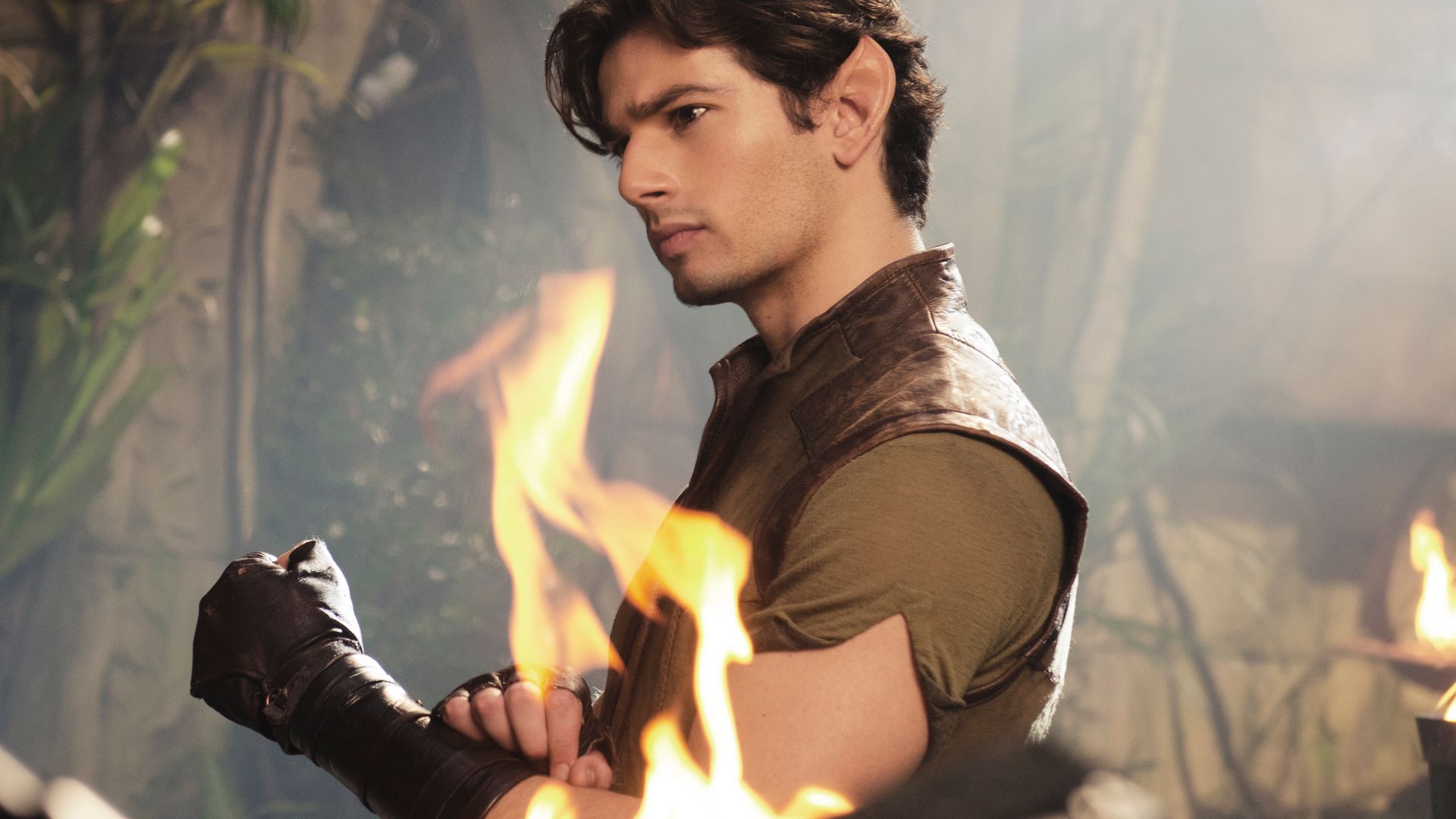 The Shannara Chronicles background