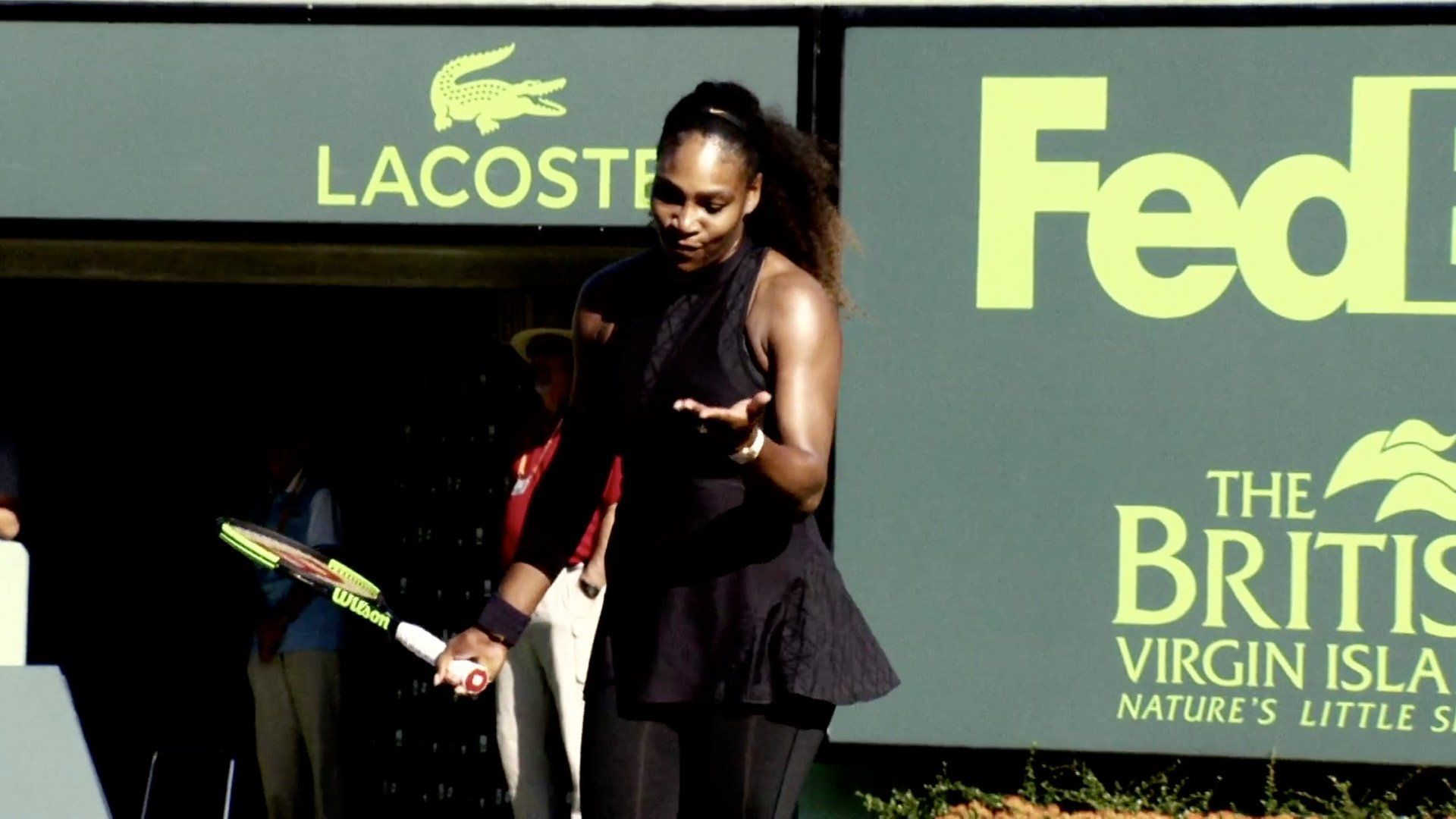 Being Serena background
