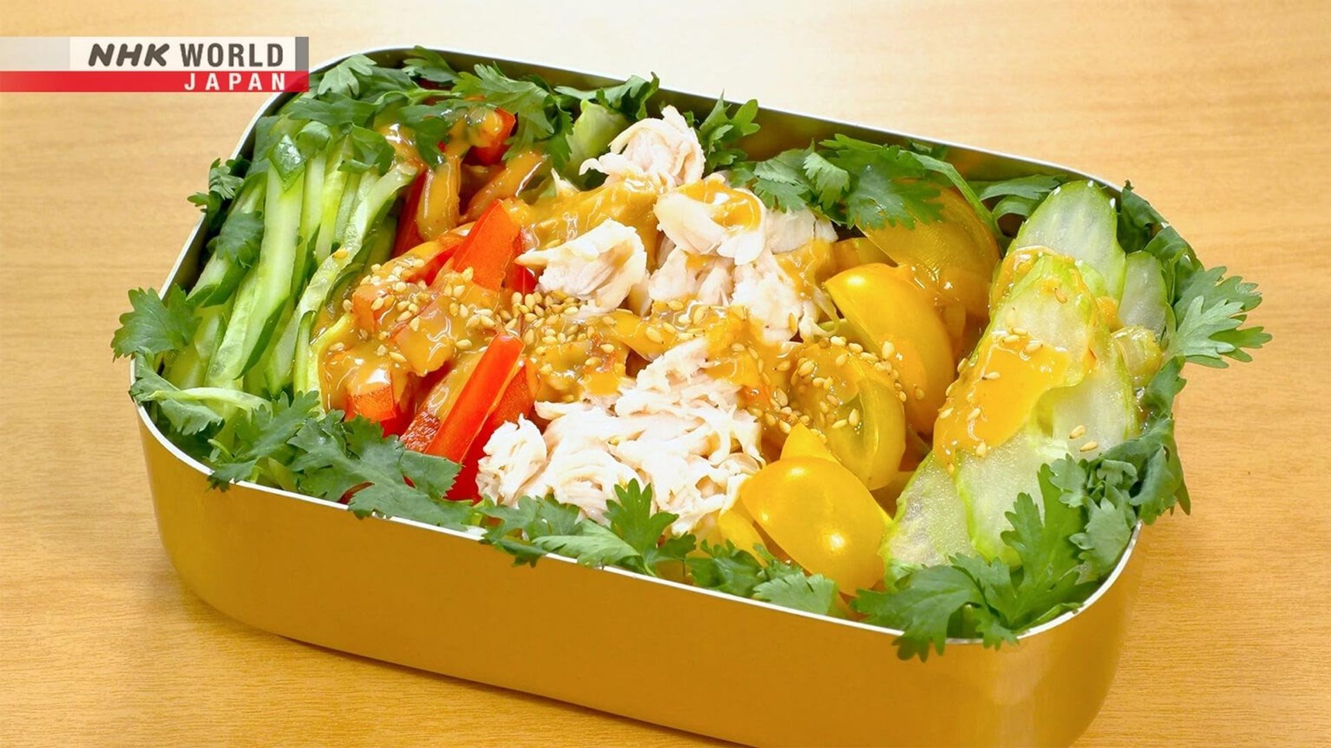 Bento Expo: The Global Lunchbox Project background