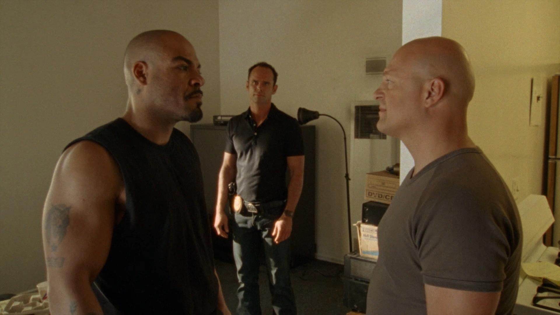 The Shield background