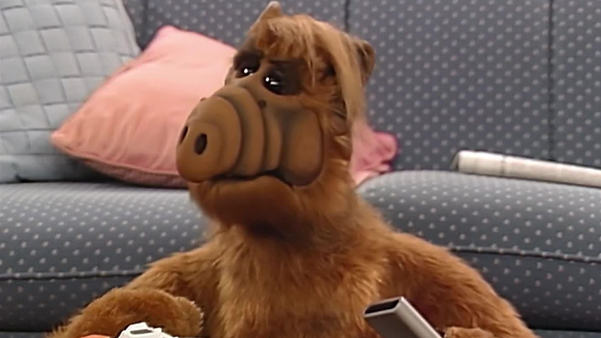 ALF background