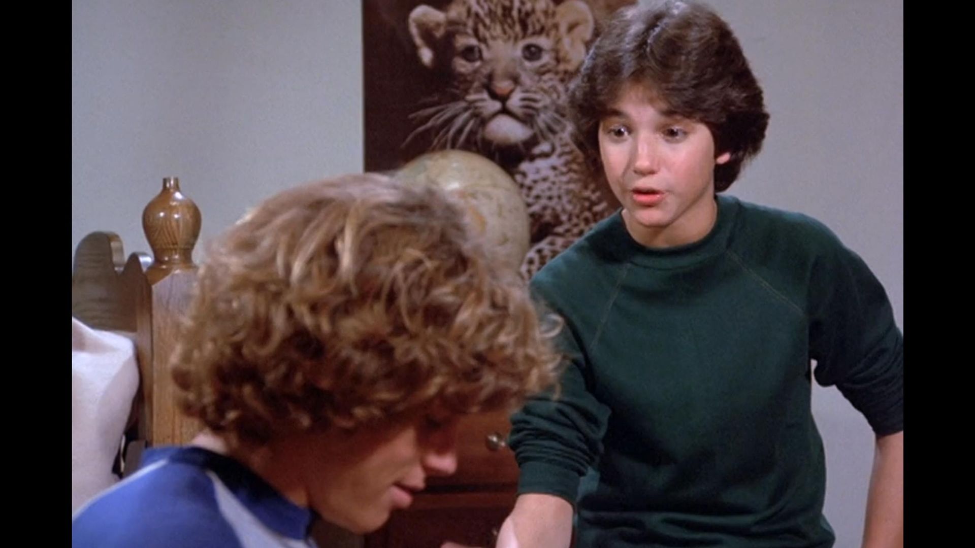 Eight Is Enough background