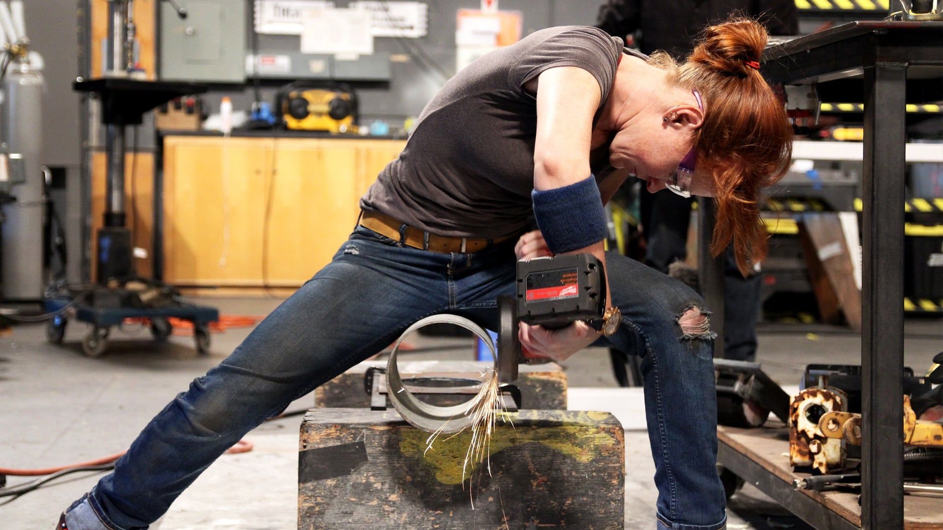 MythBusters: The Search background