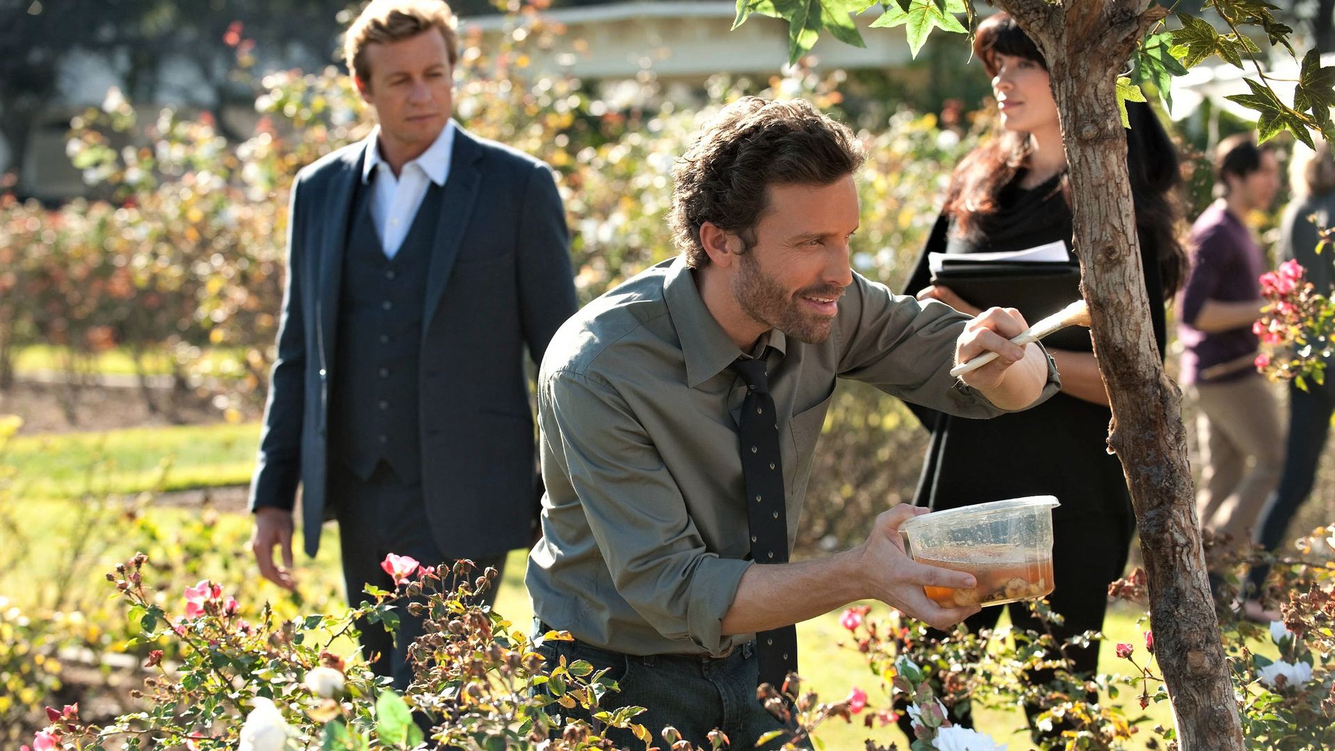 The Mentalist background