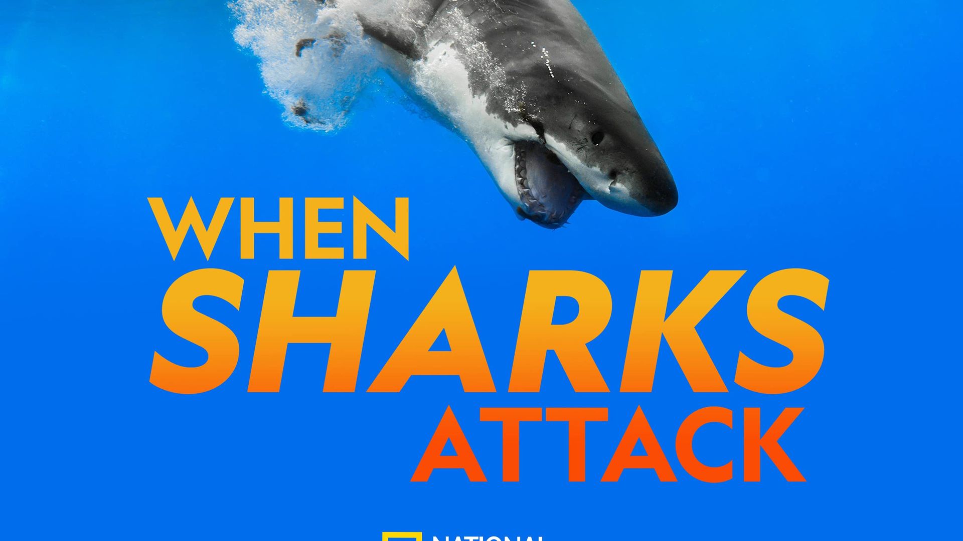 When Sharks Attack background