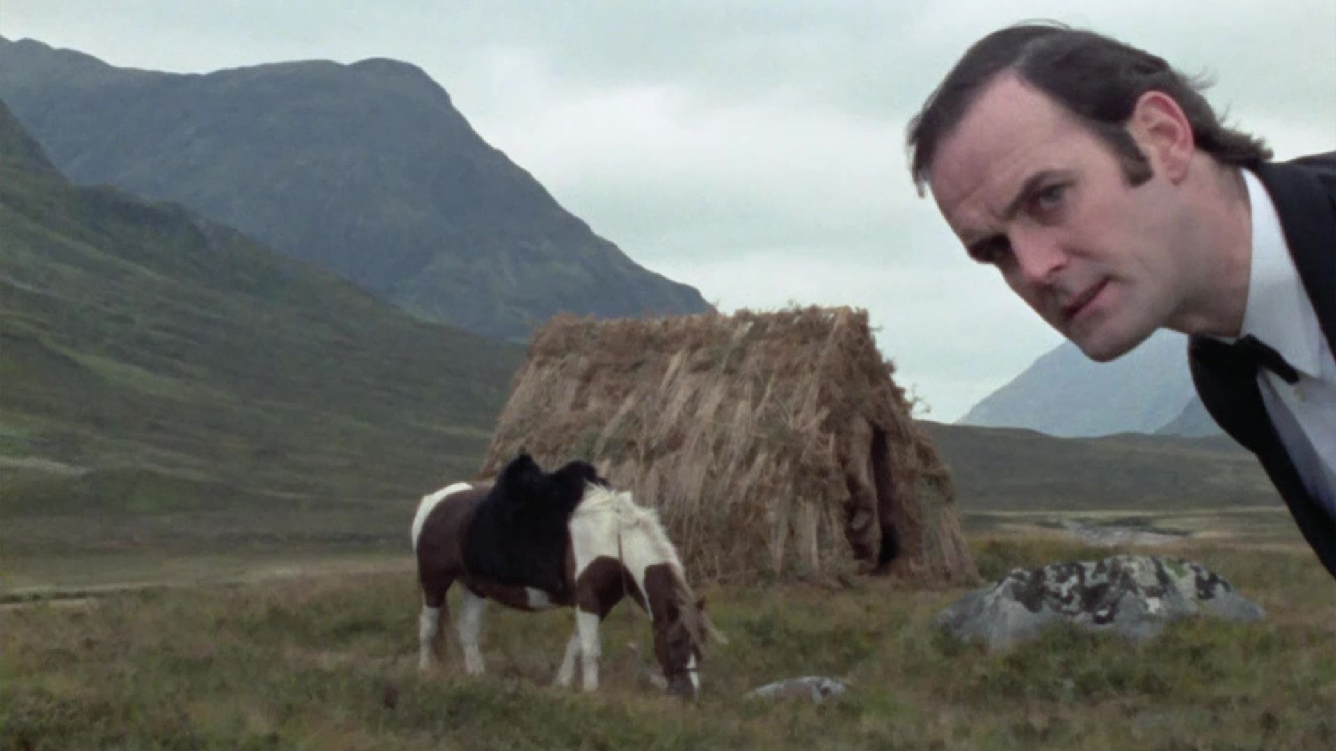 Monty Python's Flying Circus background
