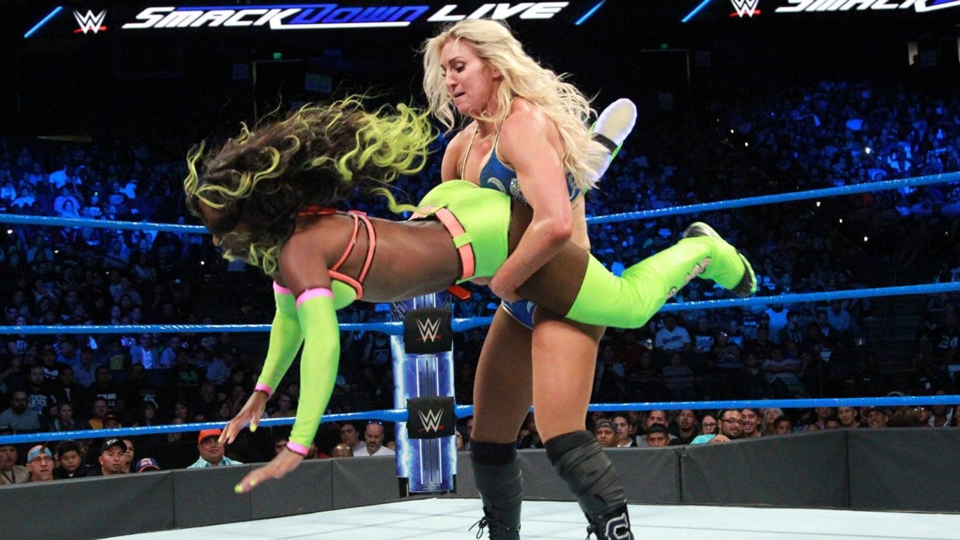 World Wrestling Federation Smackdown! background