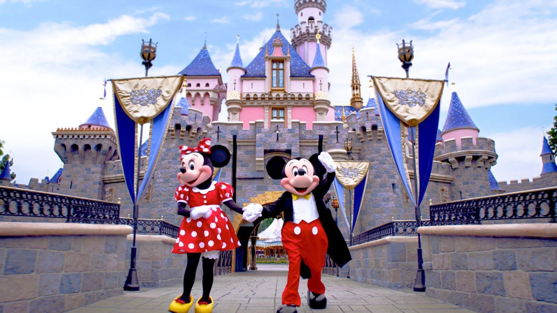 Behind the Attraction background