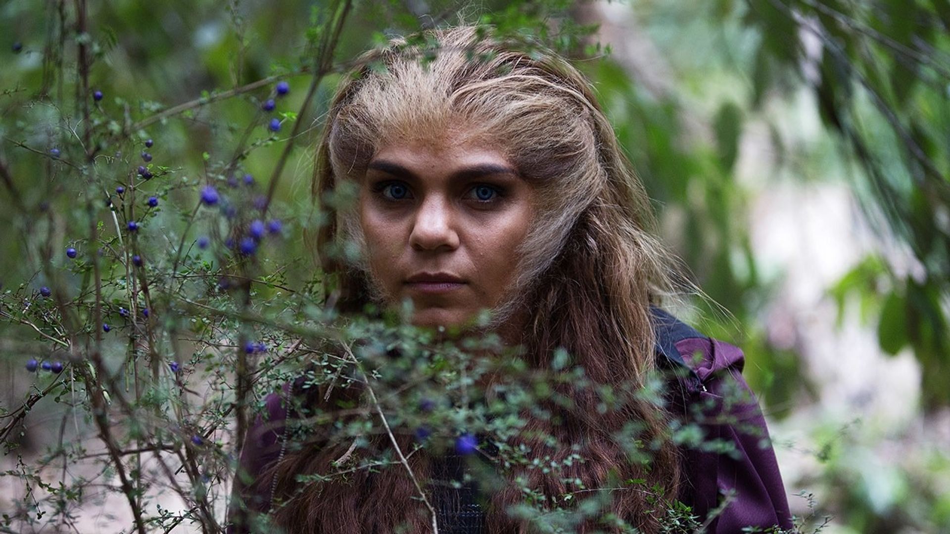 Cleverman background