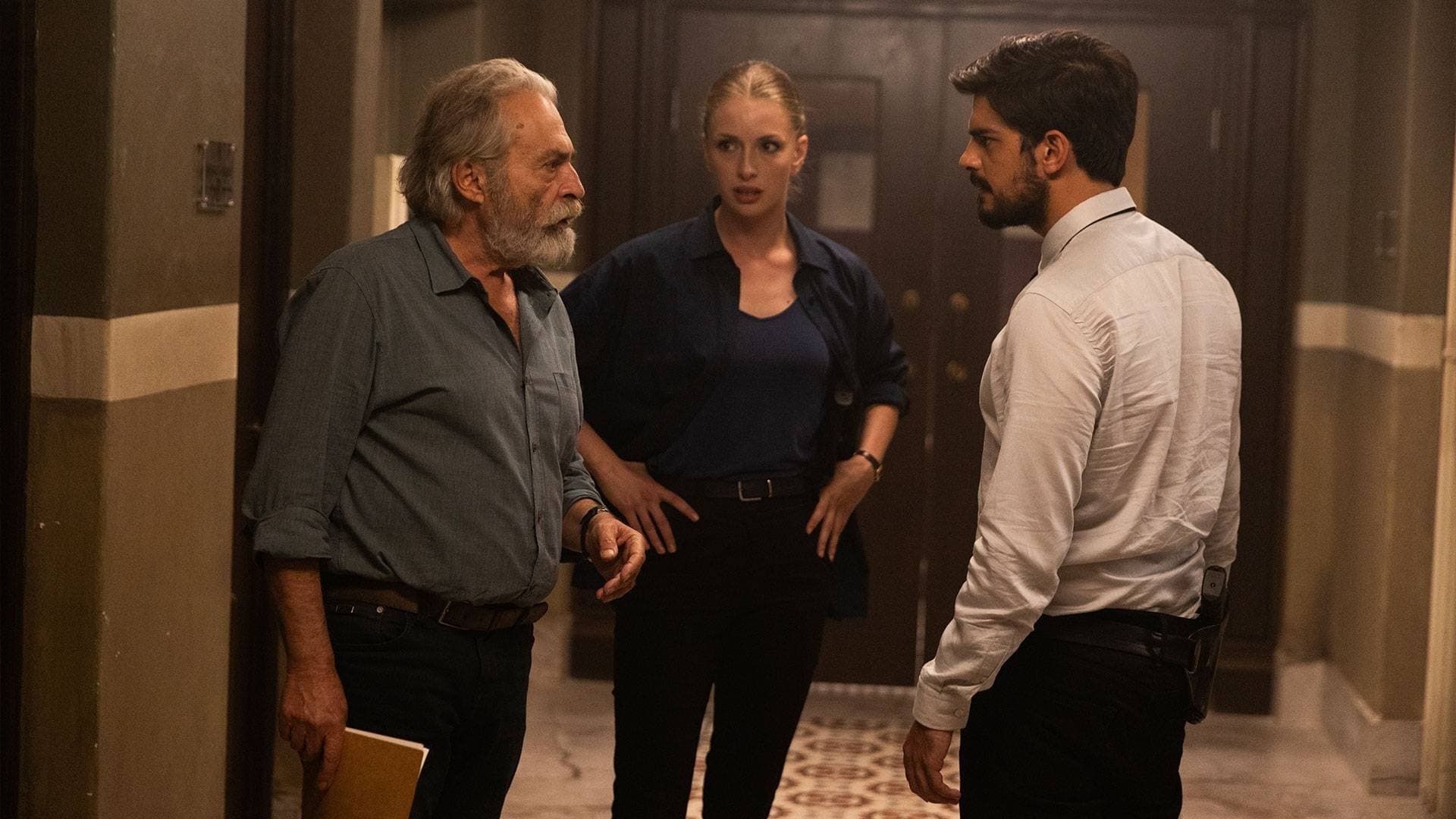 The Turkish Detective background
