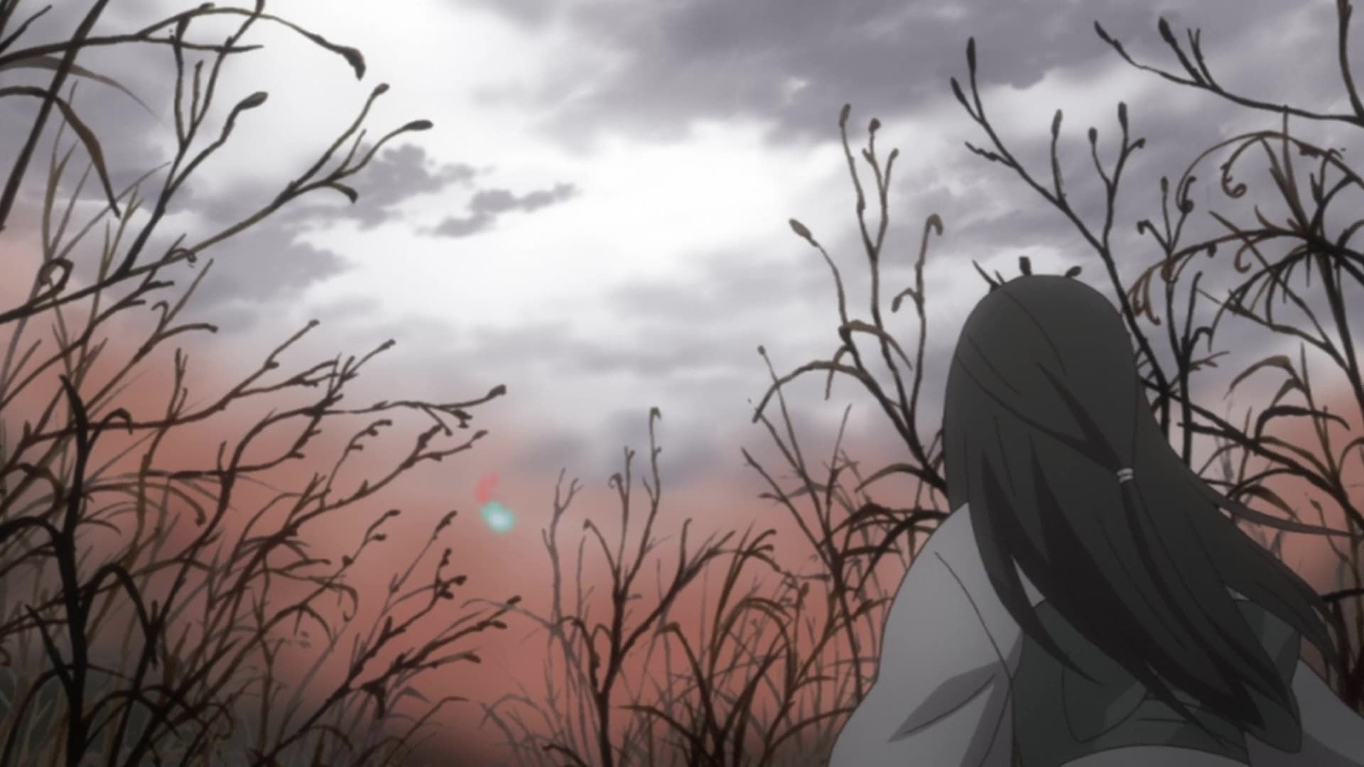 Mushi-Shi background