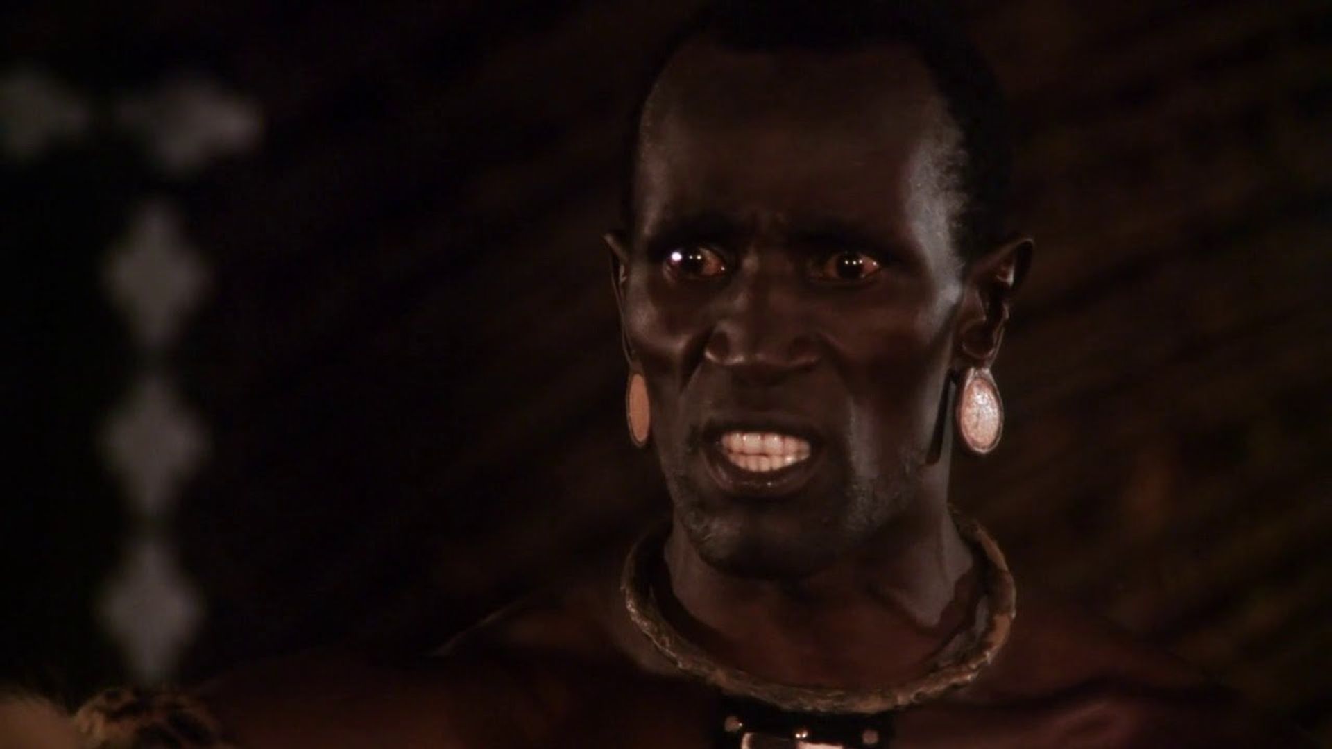 Shaka Zulu background