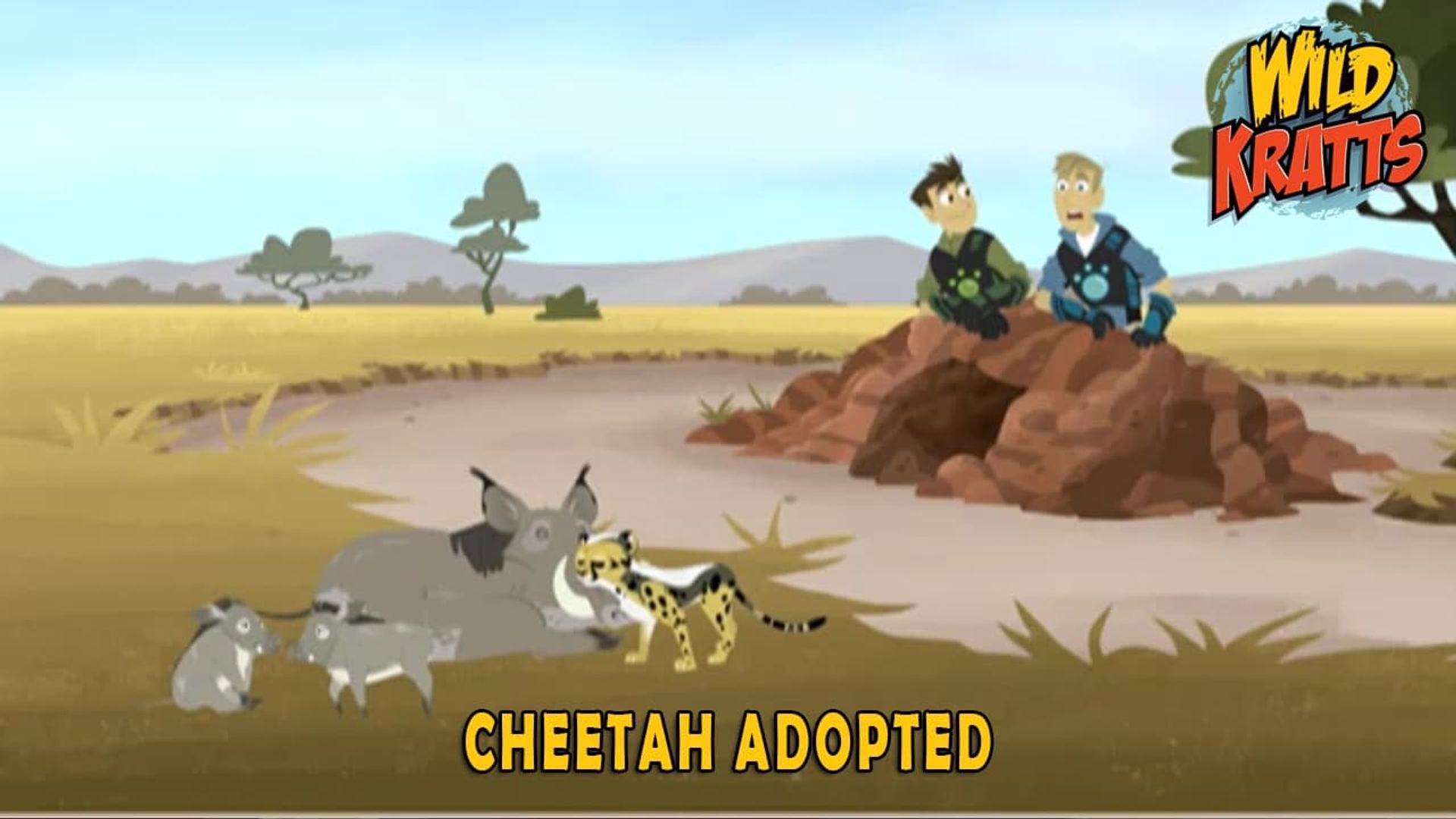 Wild Kratts background