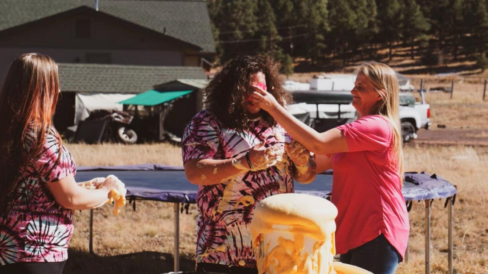 Sister Wives background