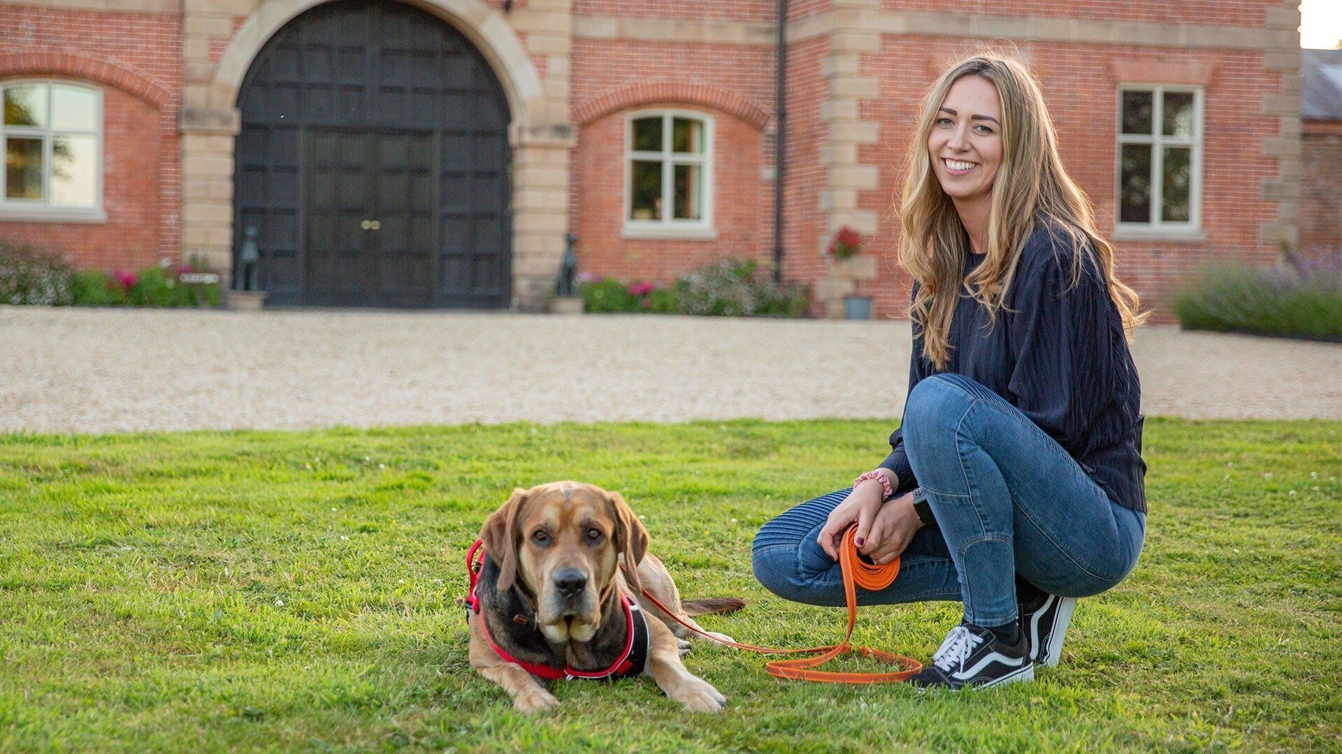 The Dog Academy background