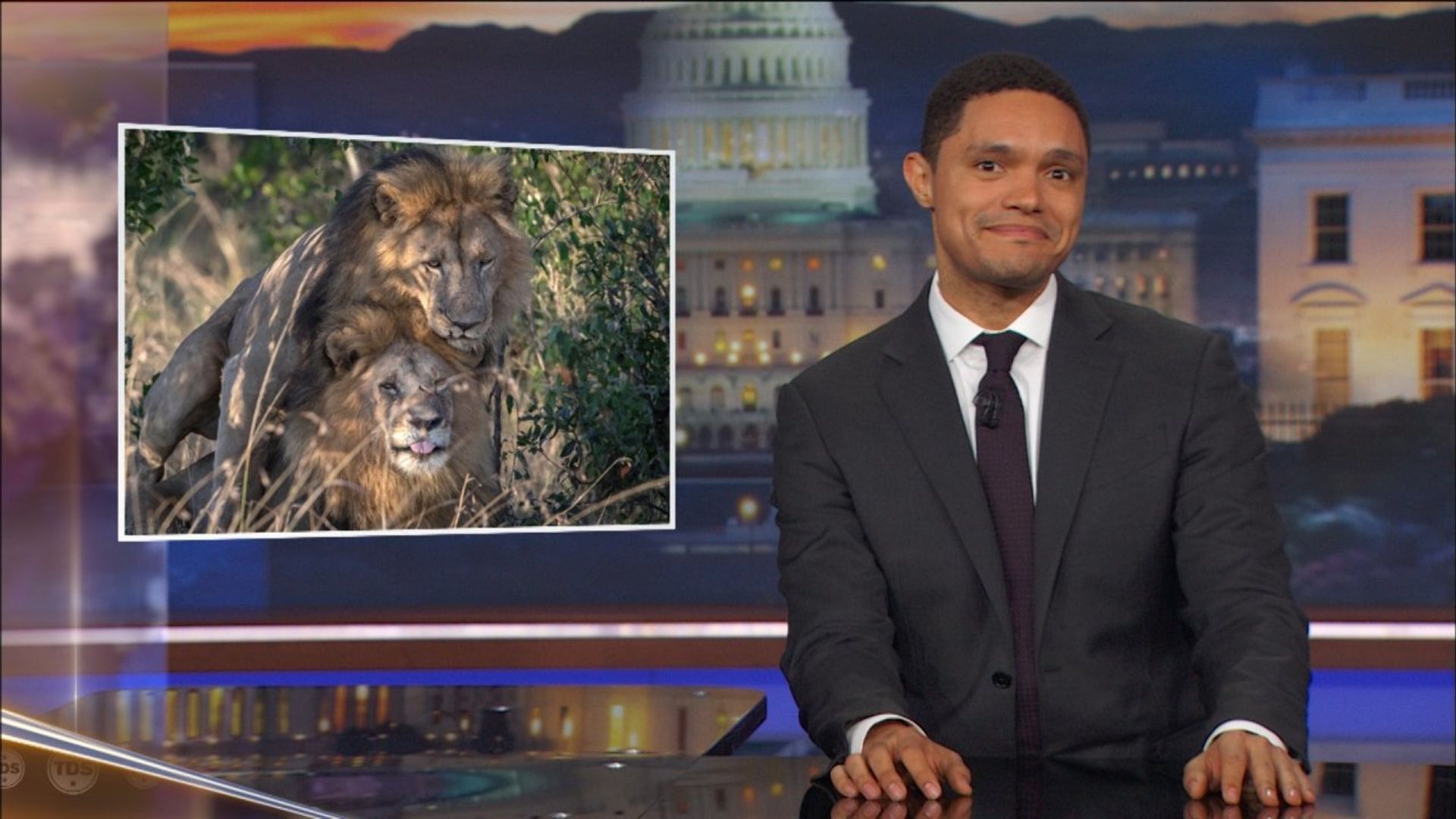 The Daily Show background