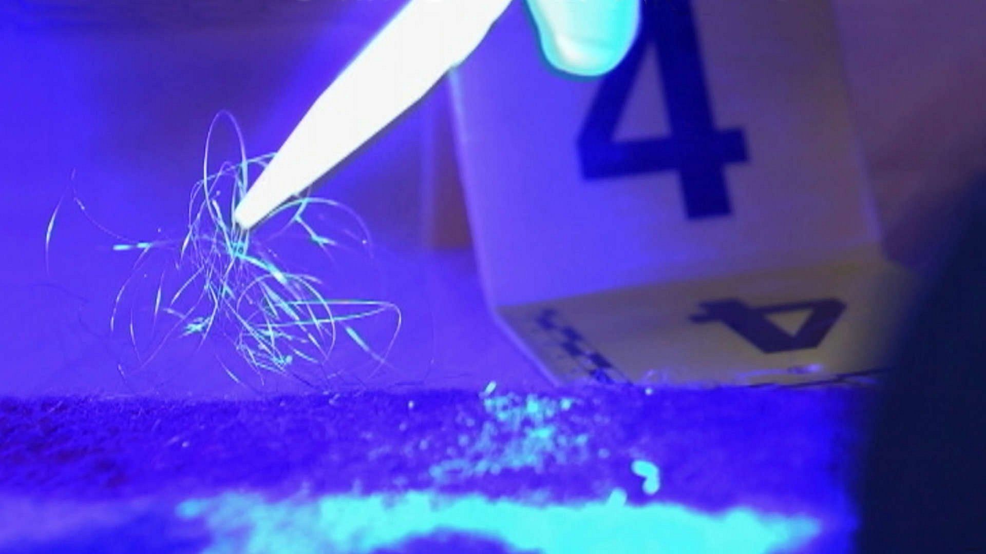 Forensic Firsts background