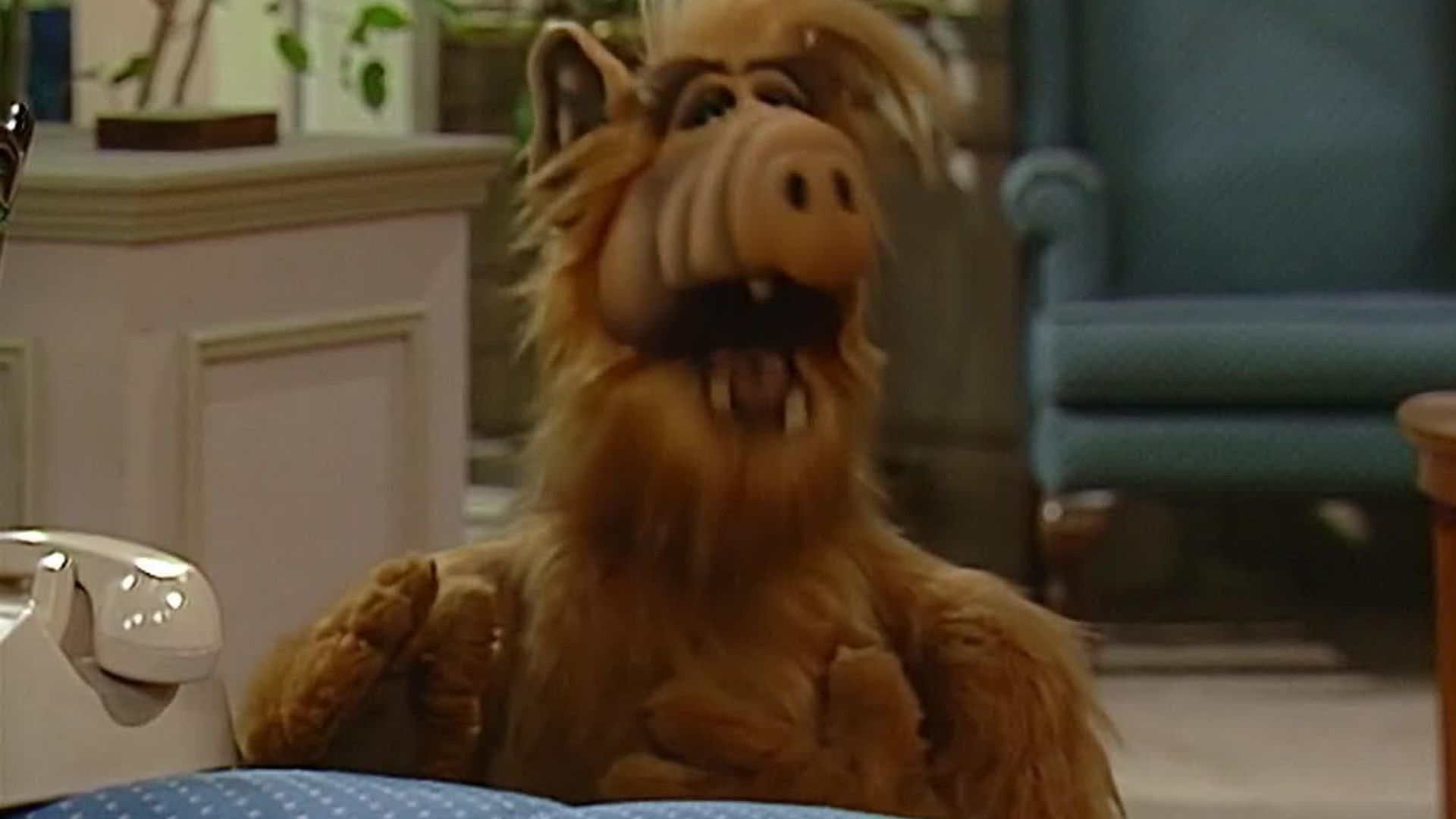 ALF background