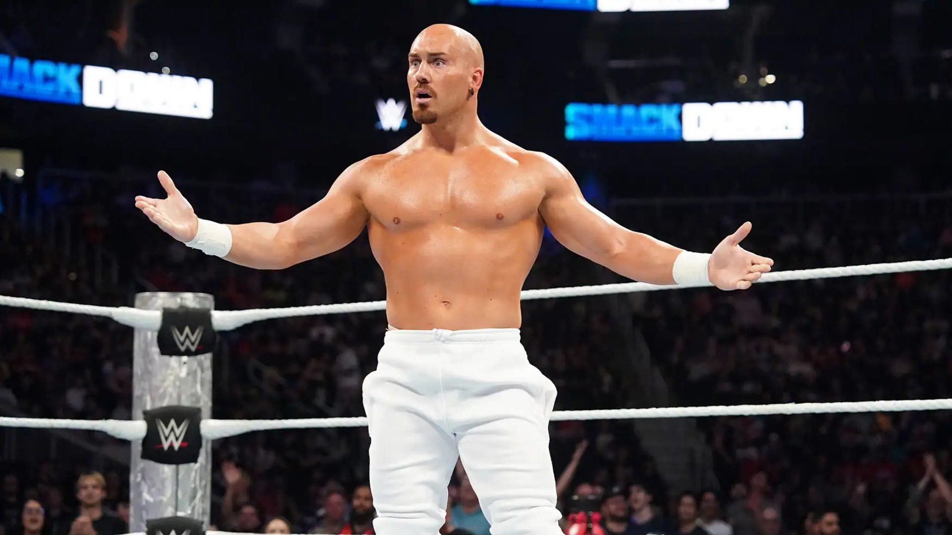 World Wrestling Federation Smackdown! background