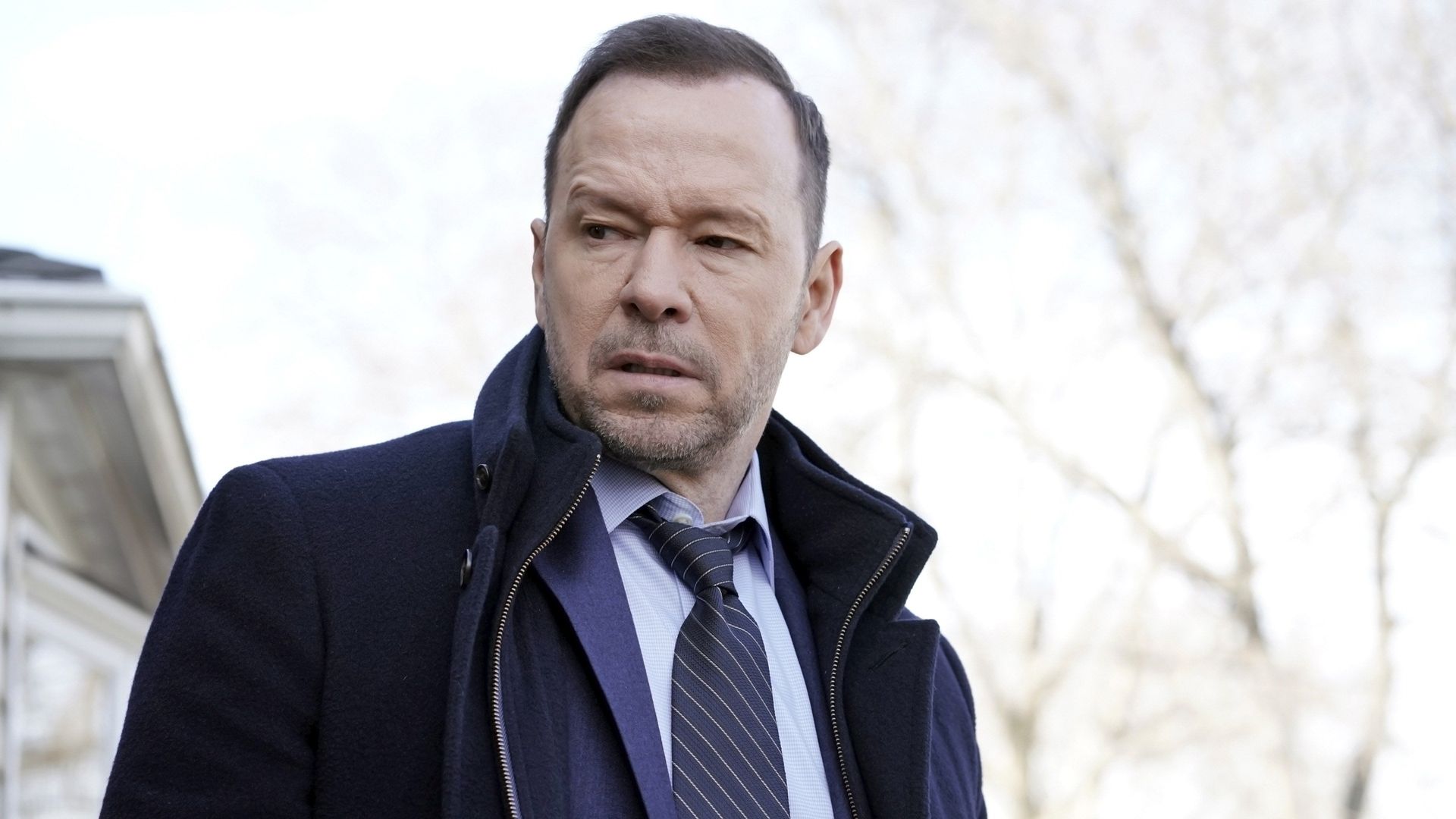 Blue Bloods background