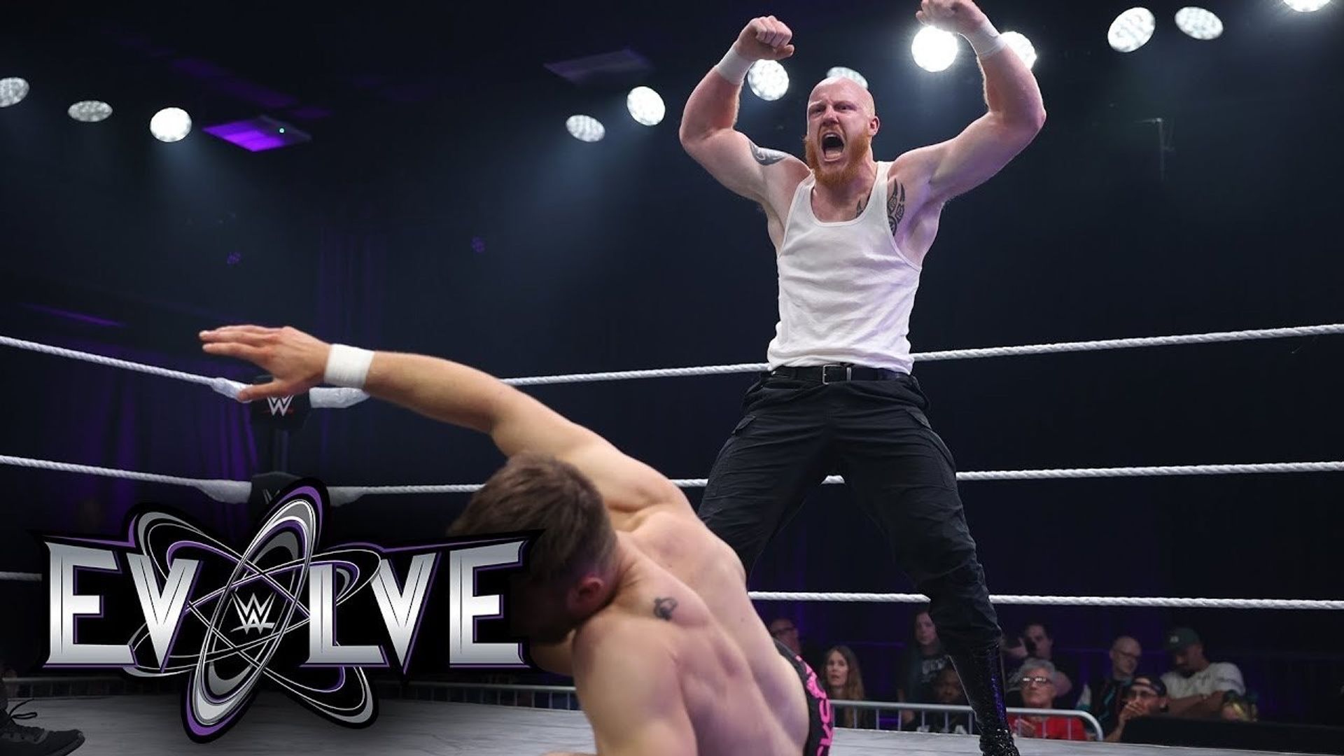 WWE Evolve background