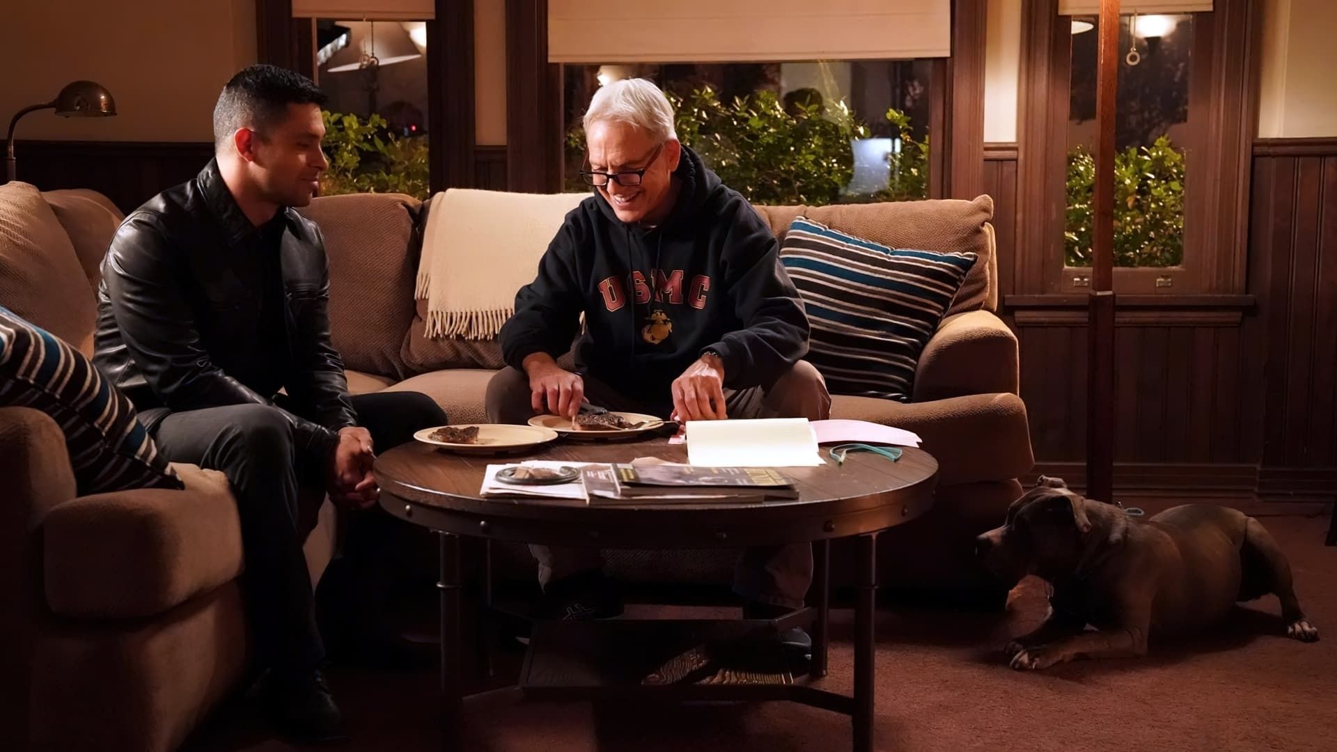 NCIS background