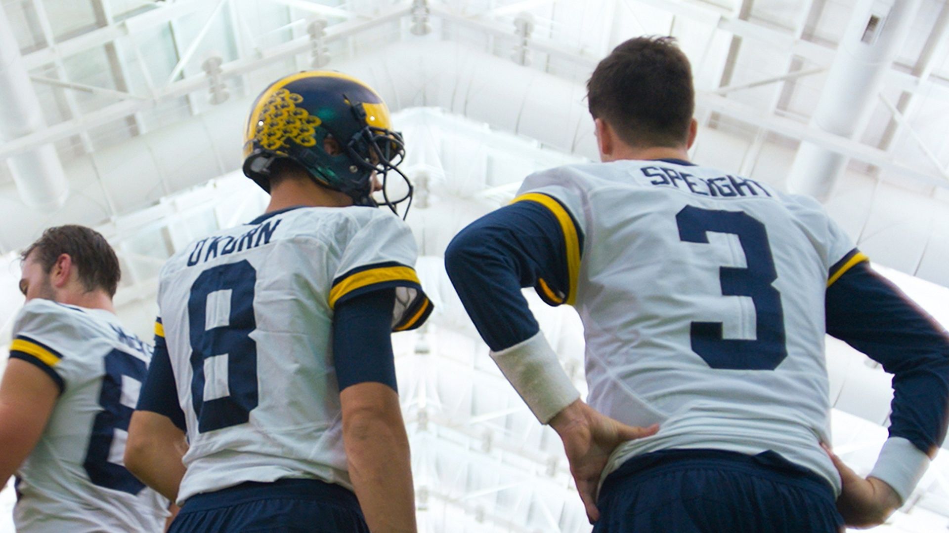 All or Nothing: The Michigan Wolverines background