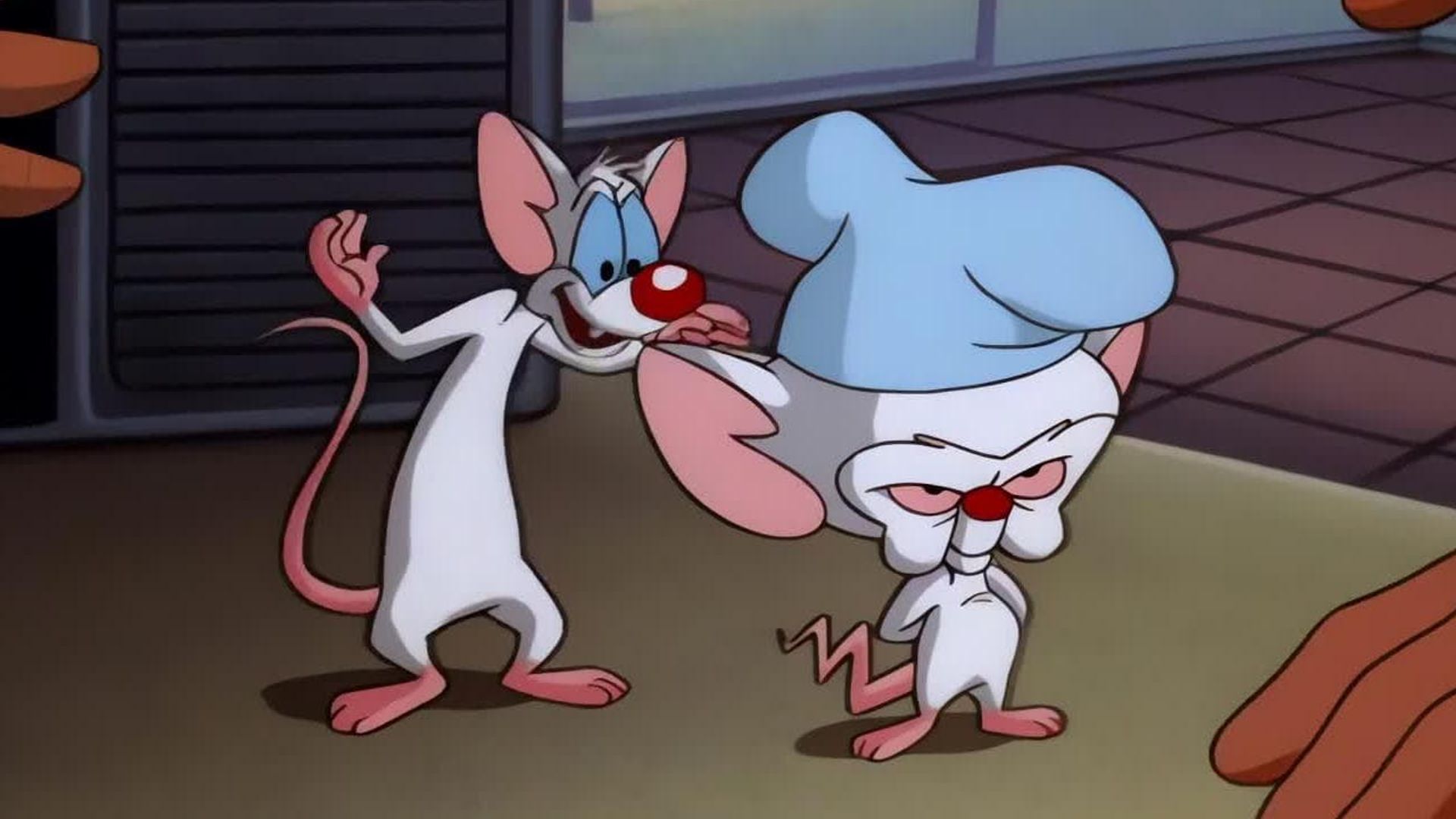 Pinky and the Brain background