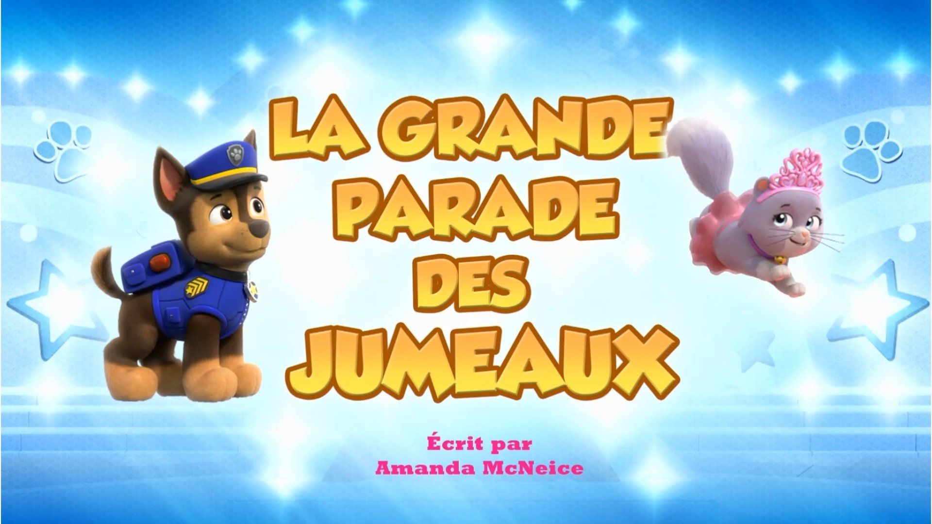 PAW Patrol background