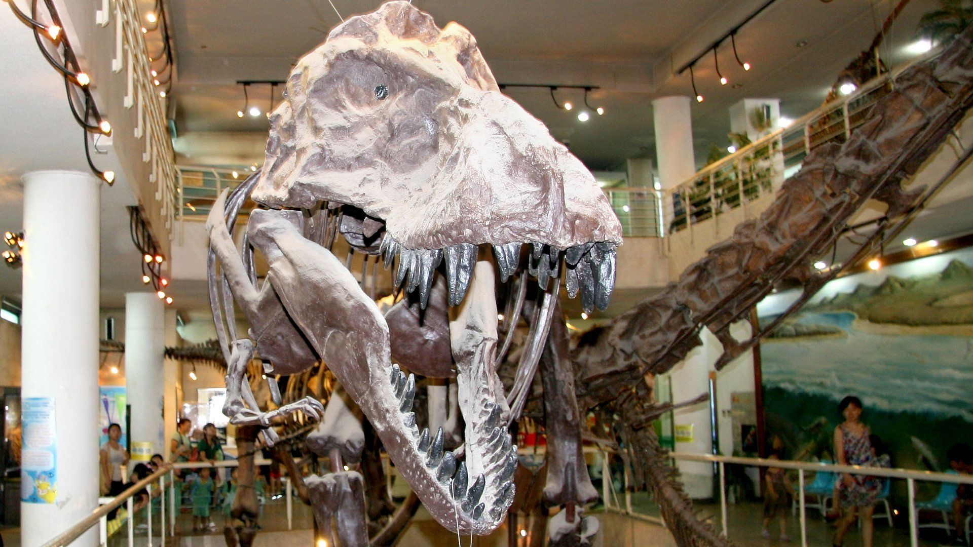 Fossil Wonderlands: Nature's Hidden Treasures background