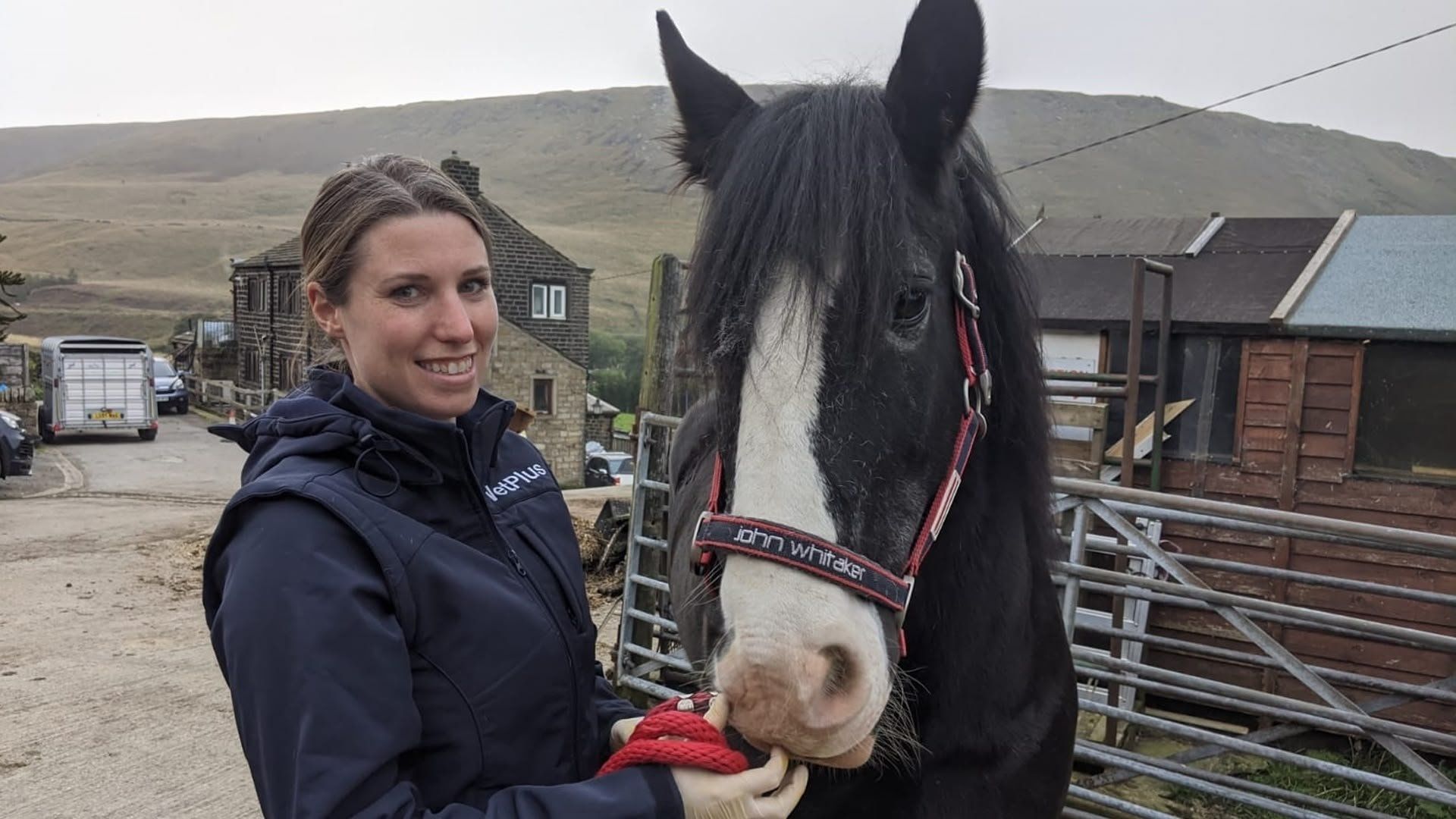 The Yorkshire Vet background