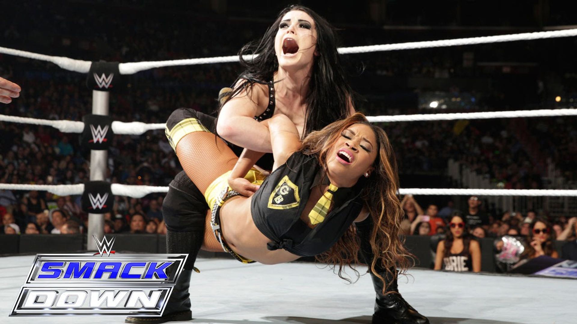 World Wrestling Federation Smackdown! background