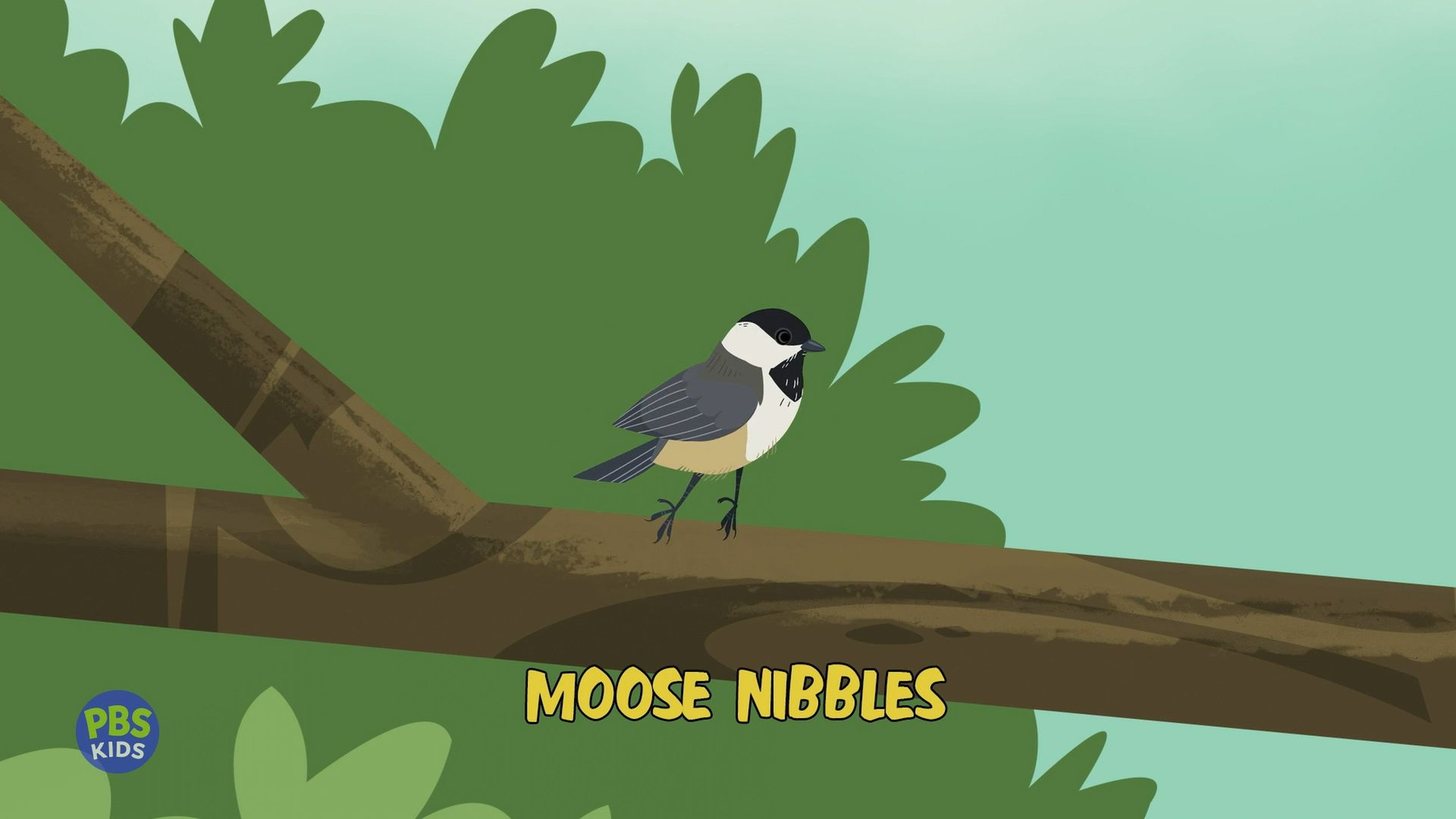 Wild Kratts background