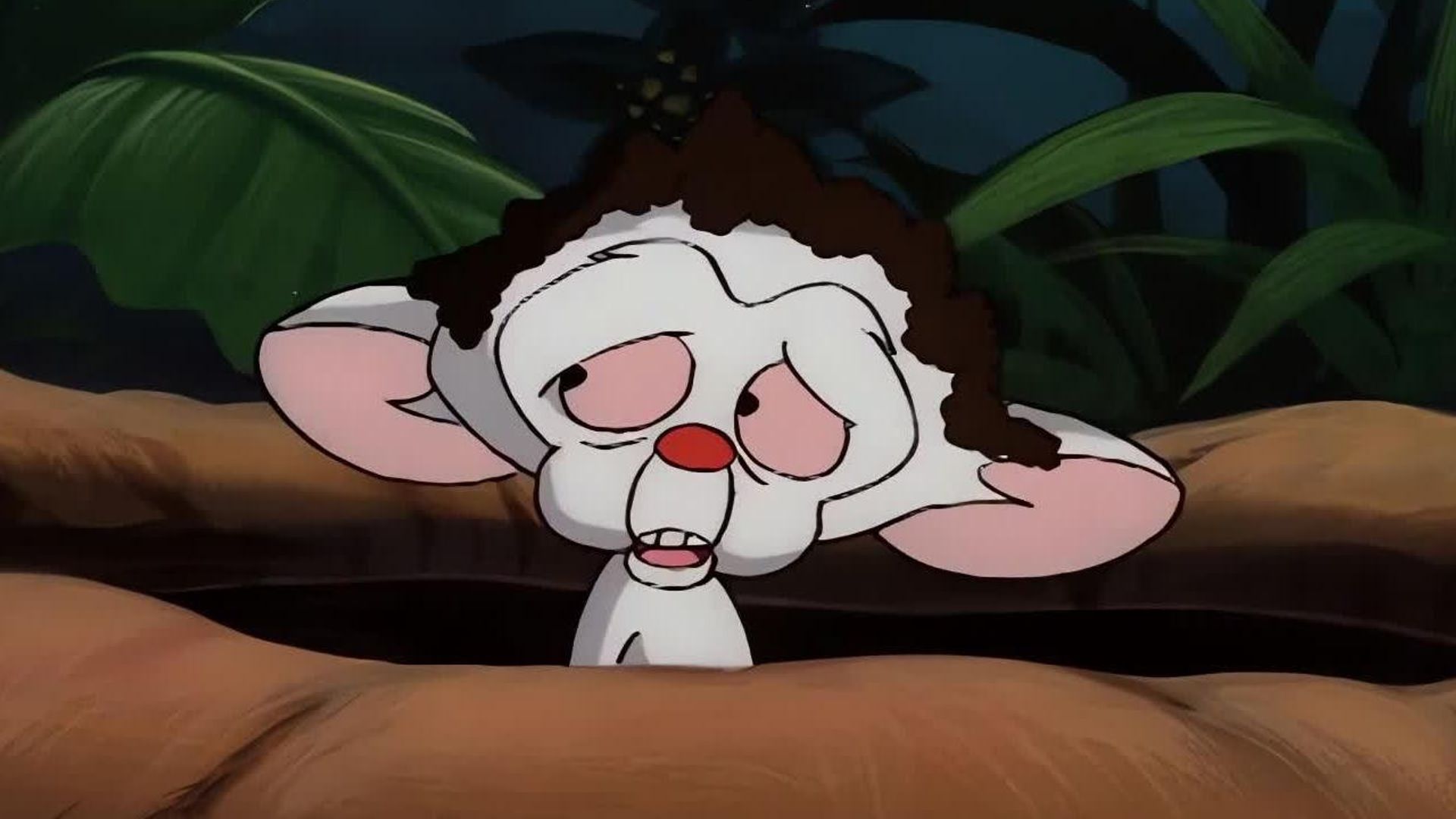 Pinky and the Brain background