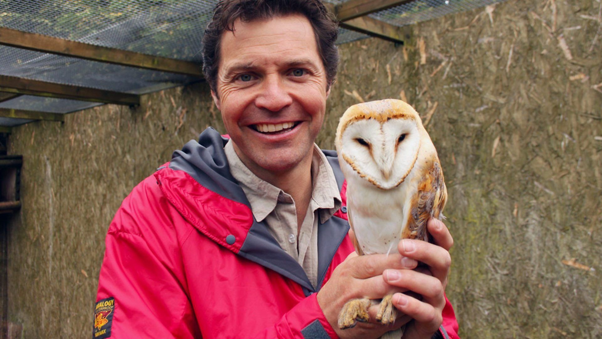 Britain's Big Wildlife Revival background