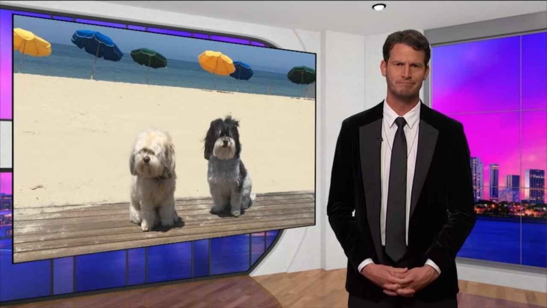 Tosh.0 background
