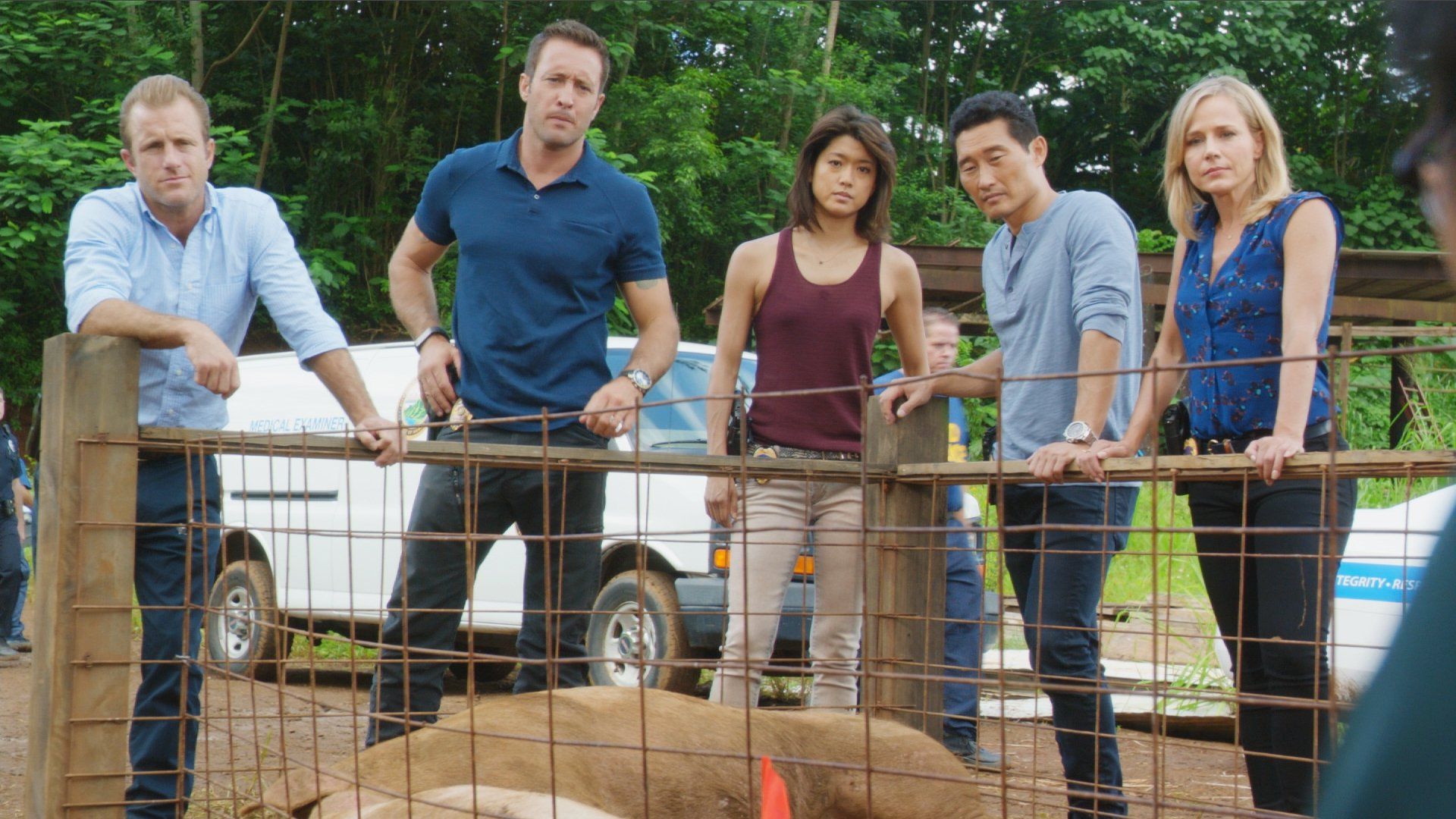 Hawaii Five-0 background