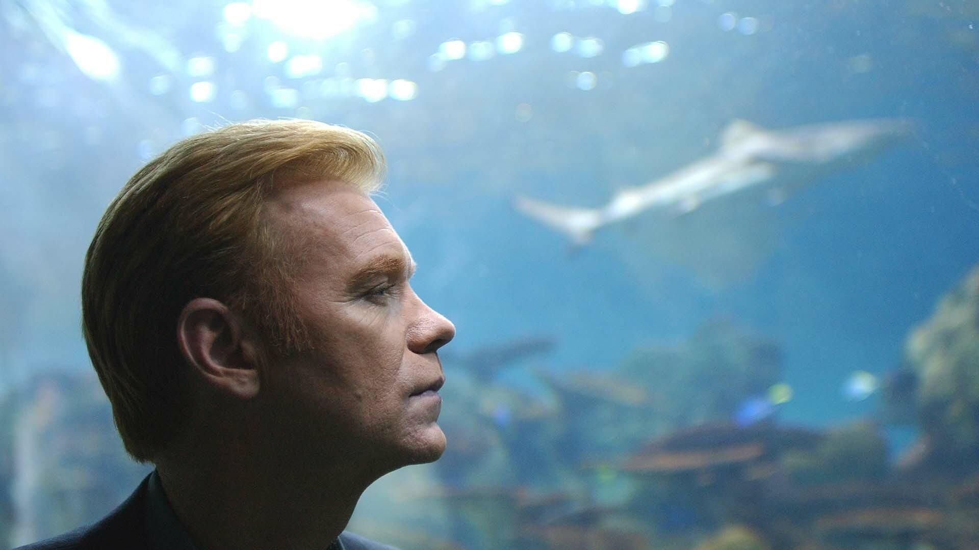 CSI: Miami background