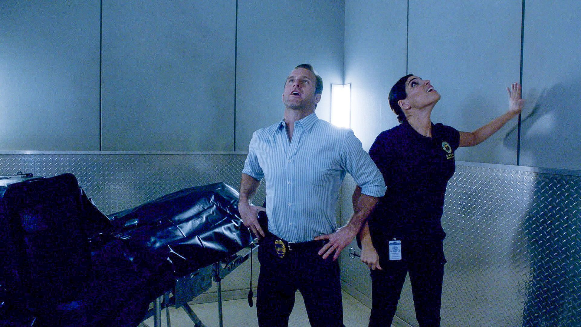 Hawaii Five-0 background