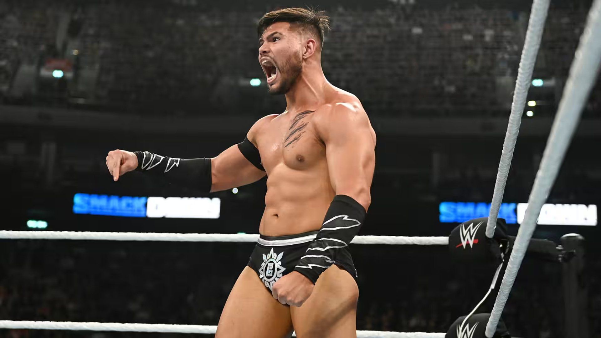 World Wrestling Federation Smackdown! background