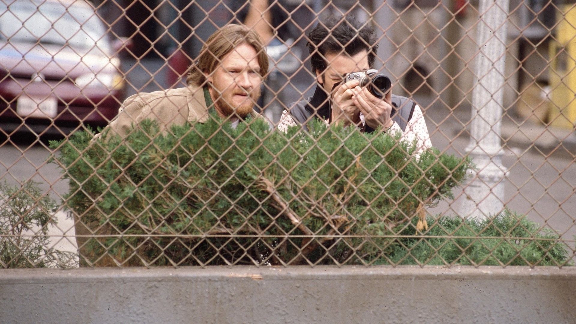 Grounded for Life background