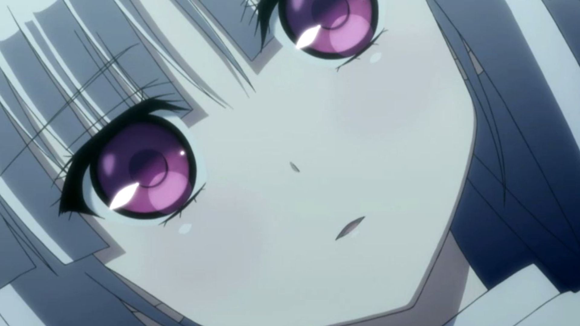 Absolute Duo background
