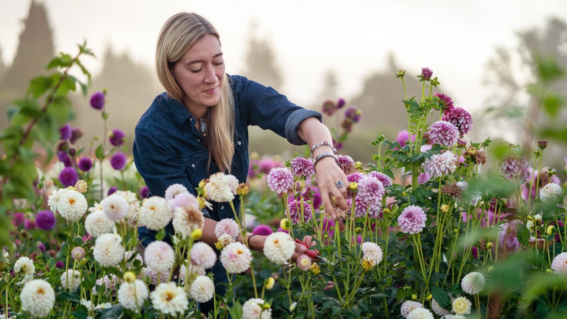 Growing Floret background
