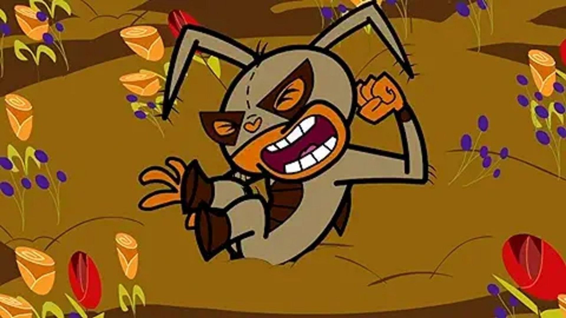¡Mucha Lucha! background